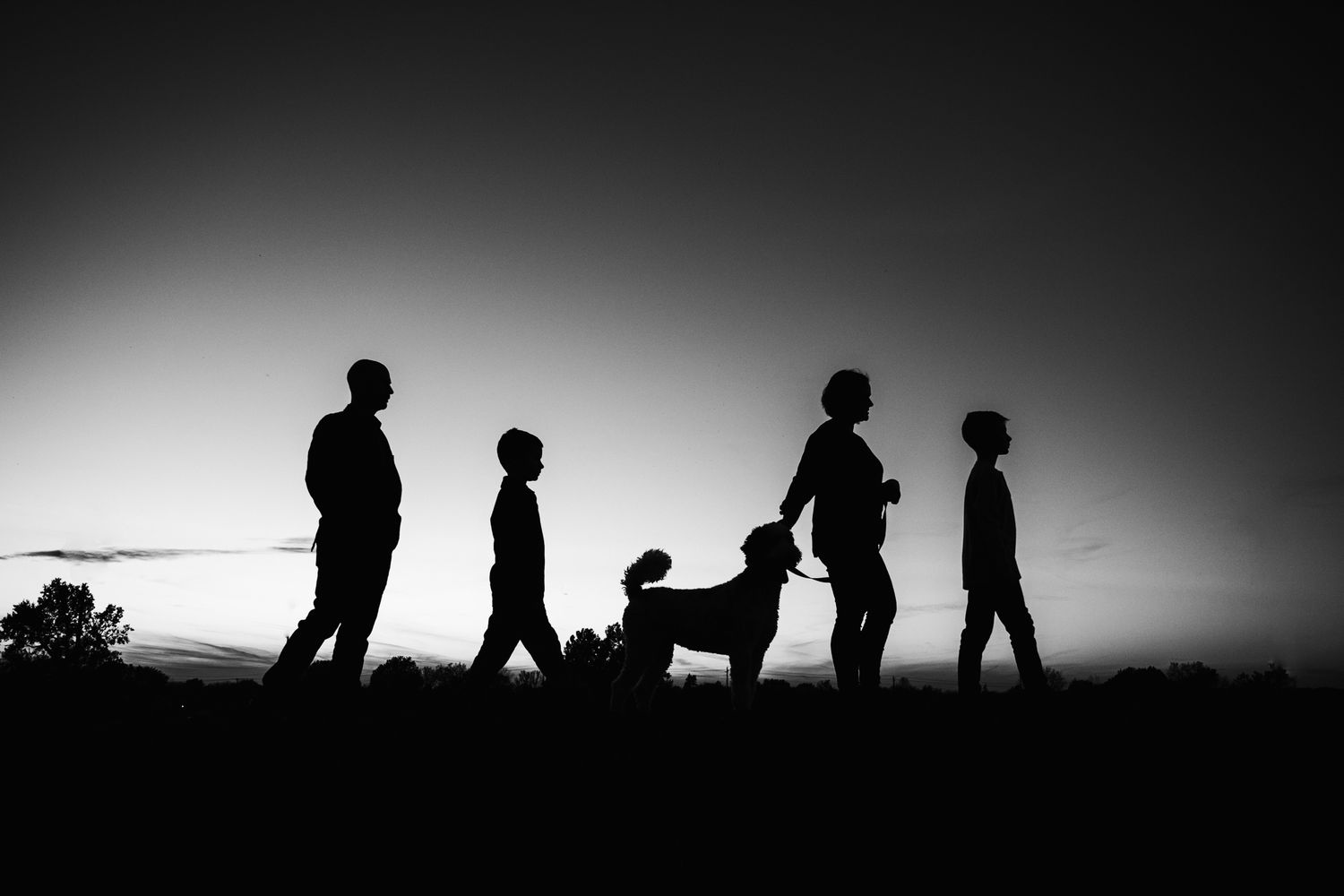 Silhouette of a family with a dog walking at sunset in black and white.
