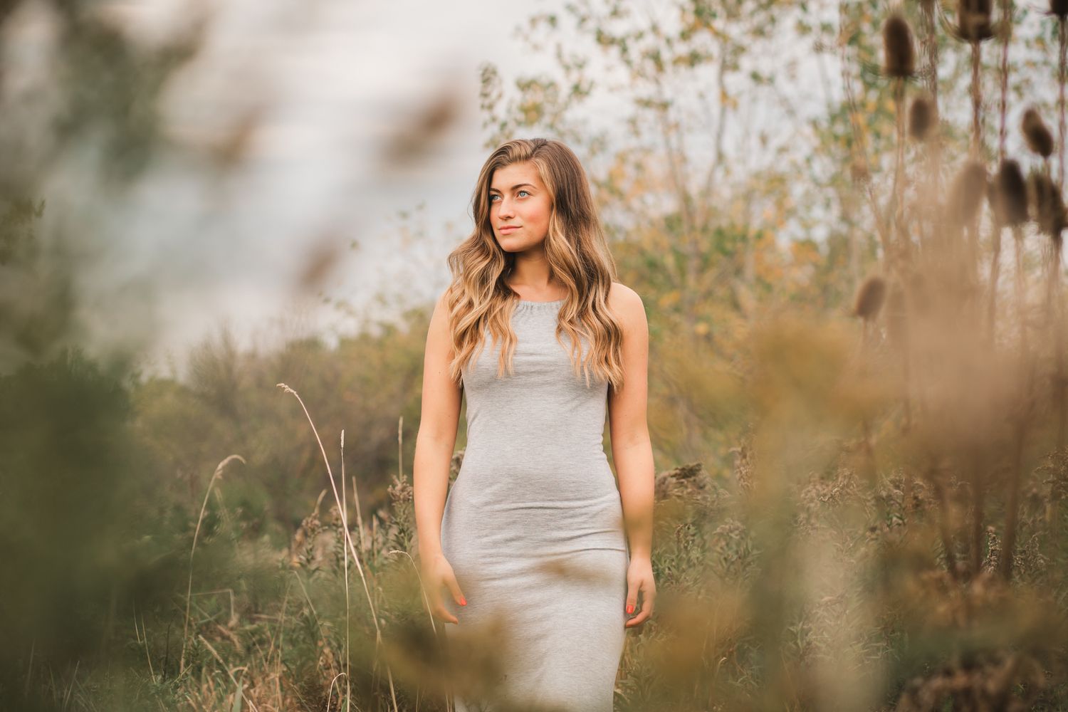 Young woman in a gray fitted dress walks through tall golden autumn grasses in a natural field.