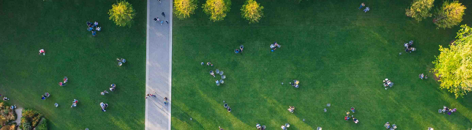 Aerial view of people relaxing on a lush green lawn beside a pathway on a sunny day.