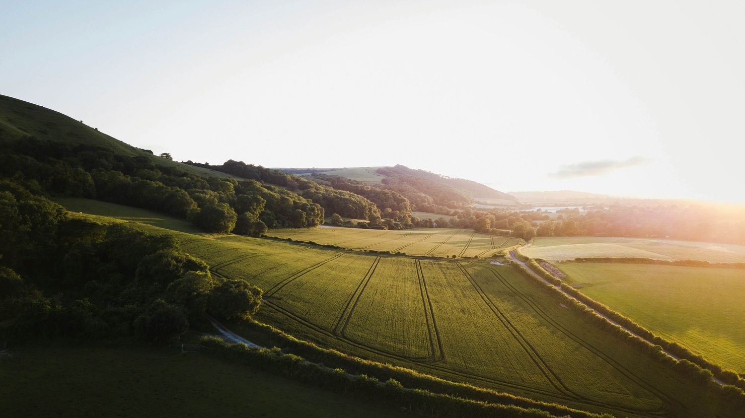 Aerial view of lush green rolling fields and hills bathed in golden sunset light in the English countryside.
