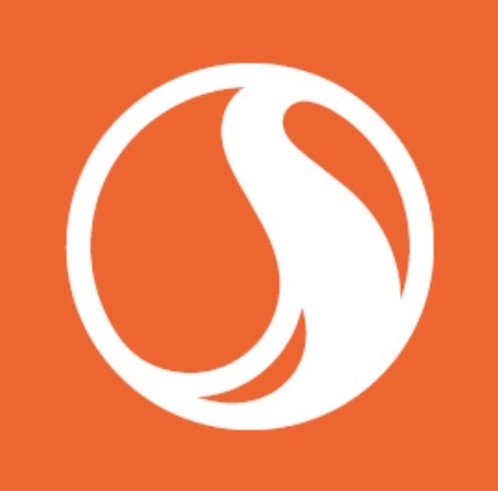 White stylized S logo inside a circle on an orange background, modern brand identity design.