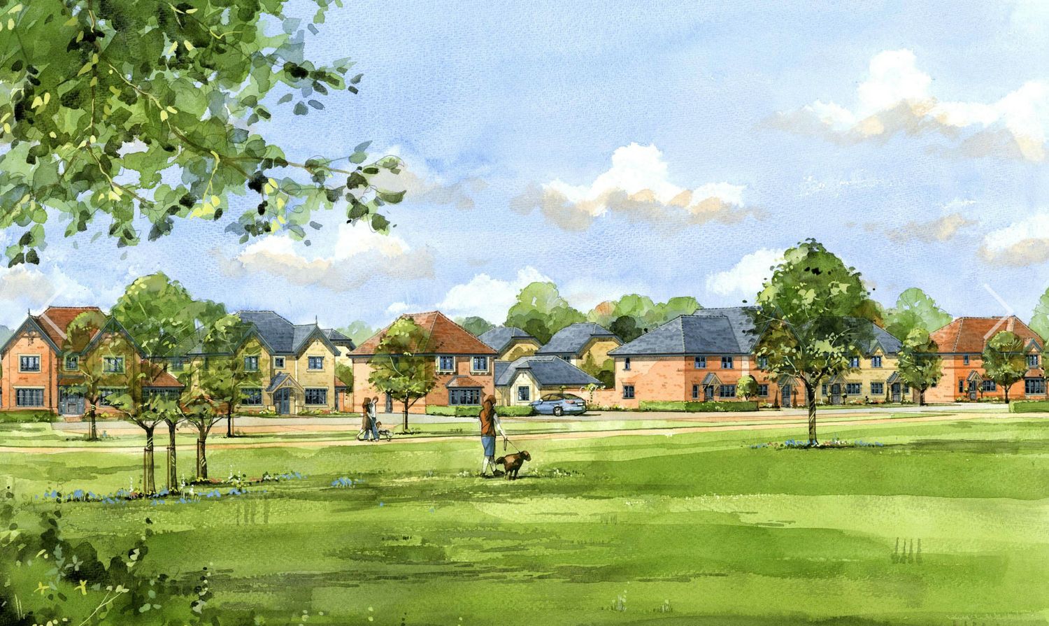 Watercolor architectural rendering of a modern residential housing development with green lawns and mature trees under a blue sky.