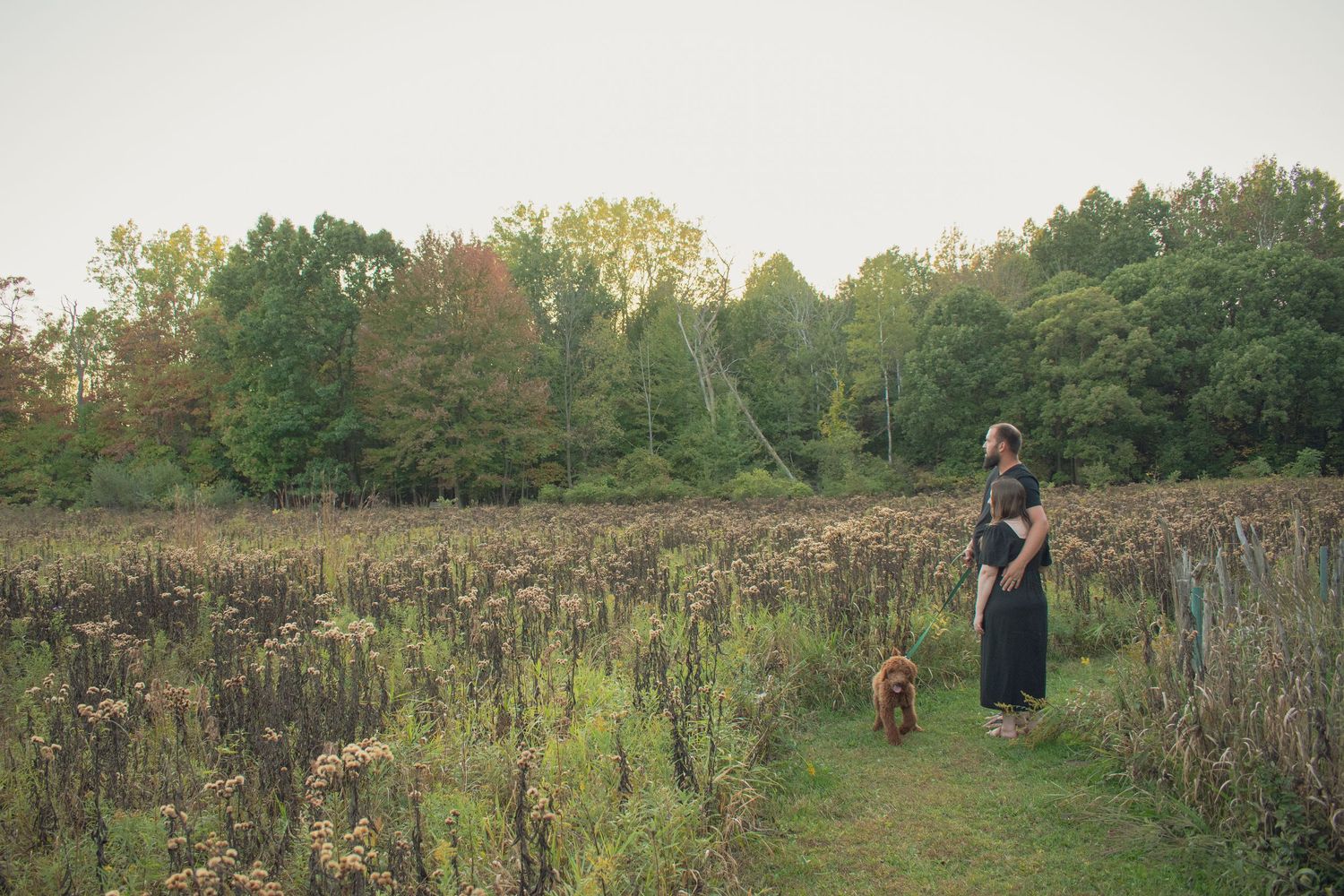 outdoor family session in Michigan