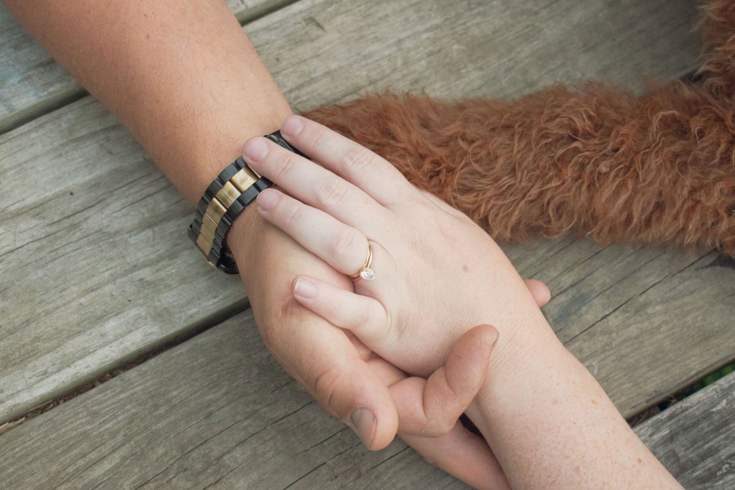 couples hands and ring with dog paw
