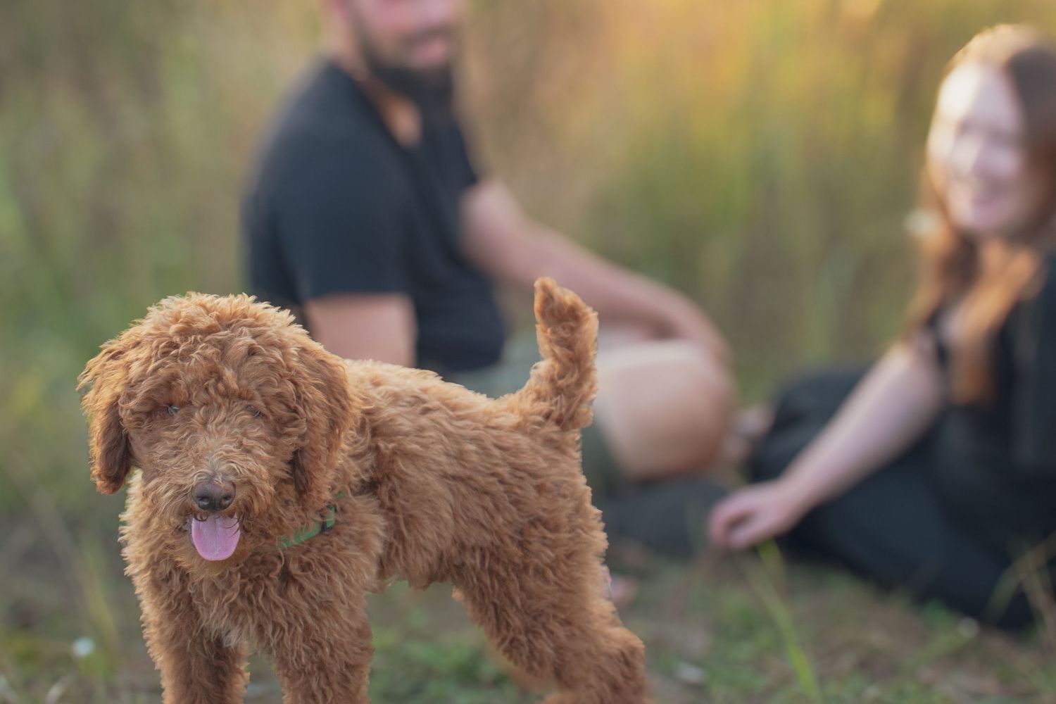 outdoor family session in Michigan