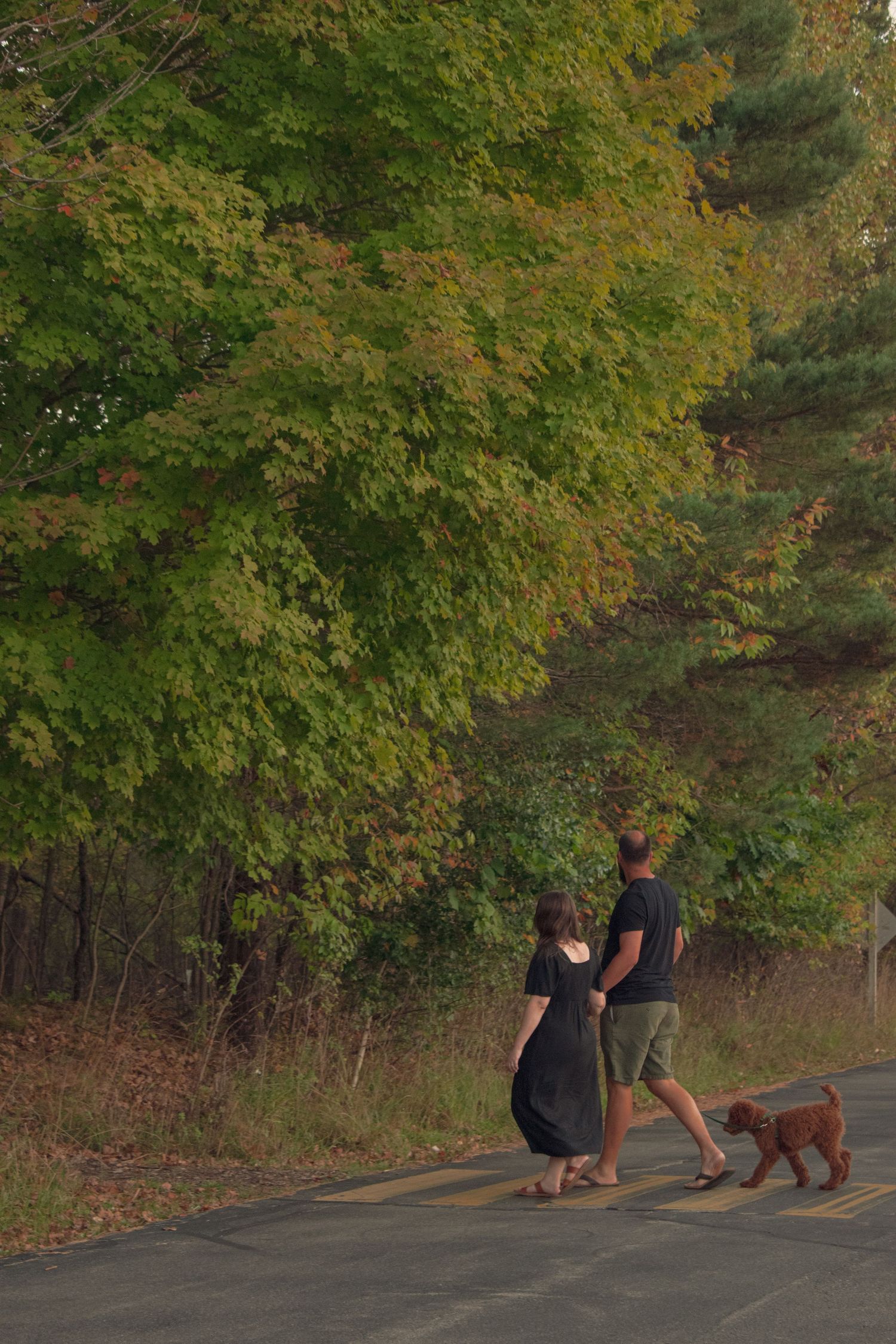 outdoor family session in Michigan