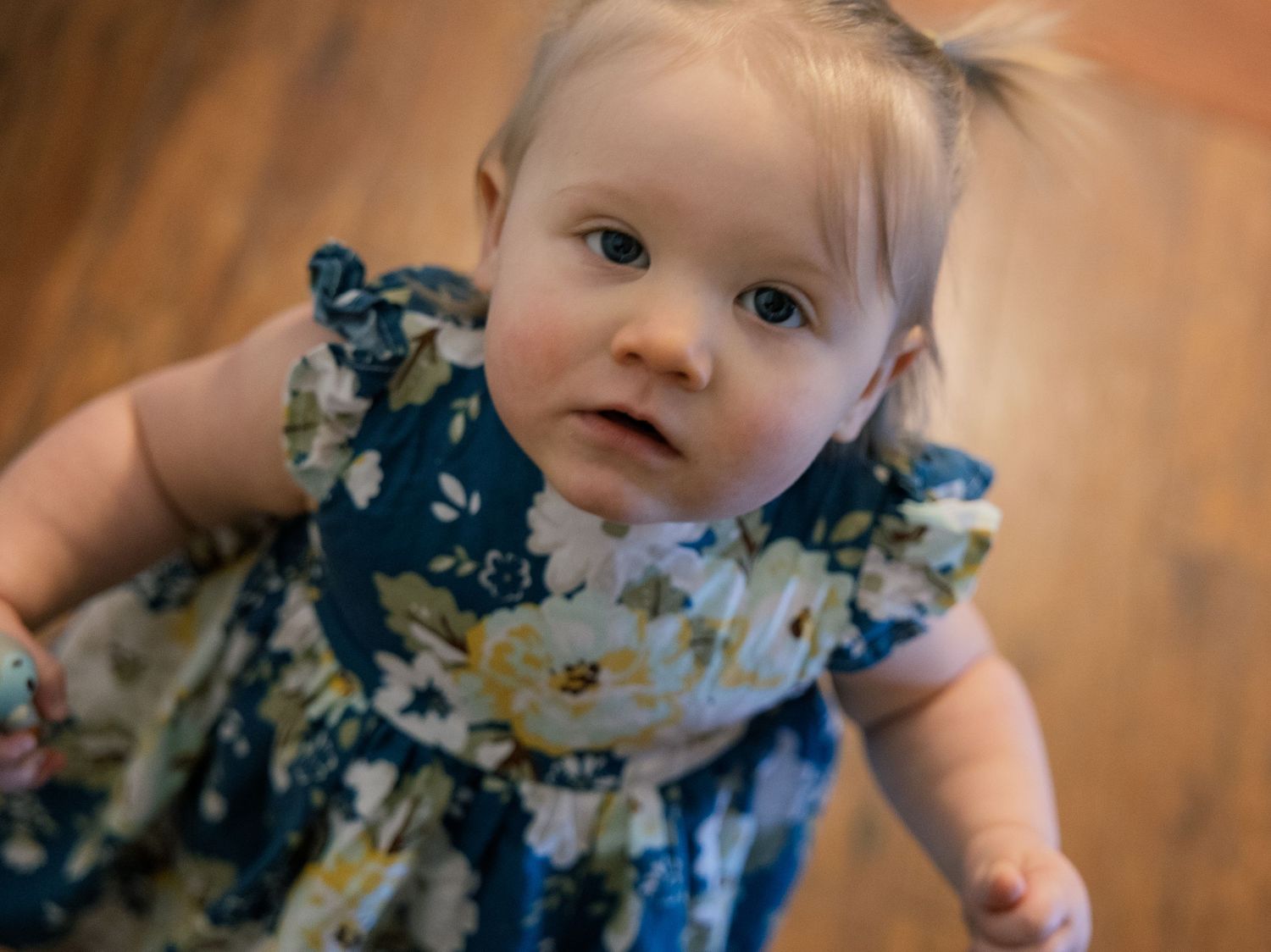 indoor portraits for family session in Michigan