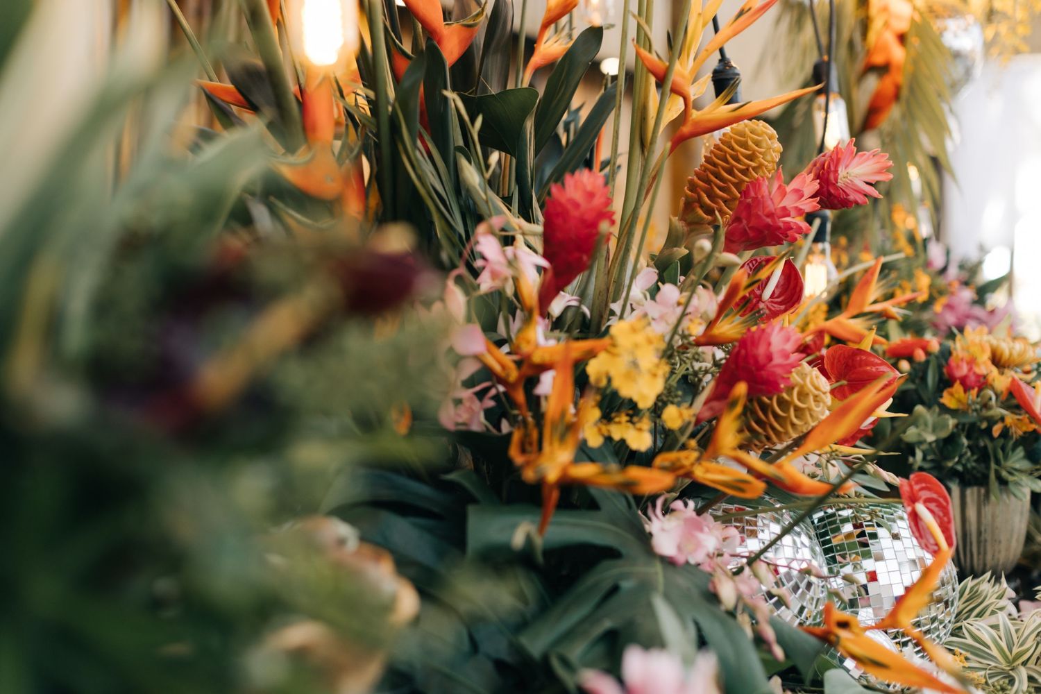 Artistic composition of tropical flowers with orange and pink blooms against soft lighting.