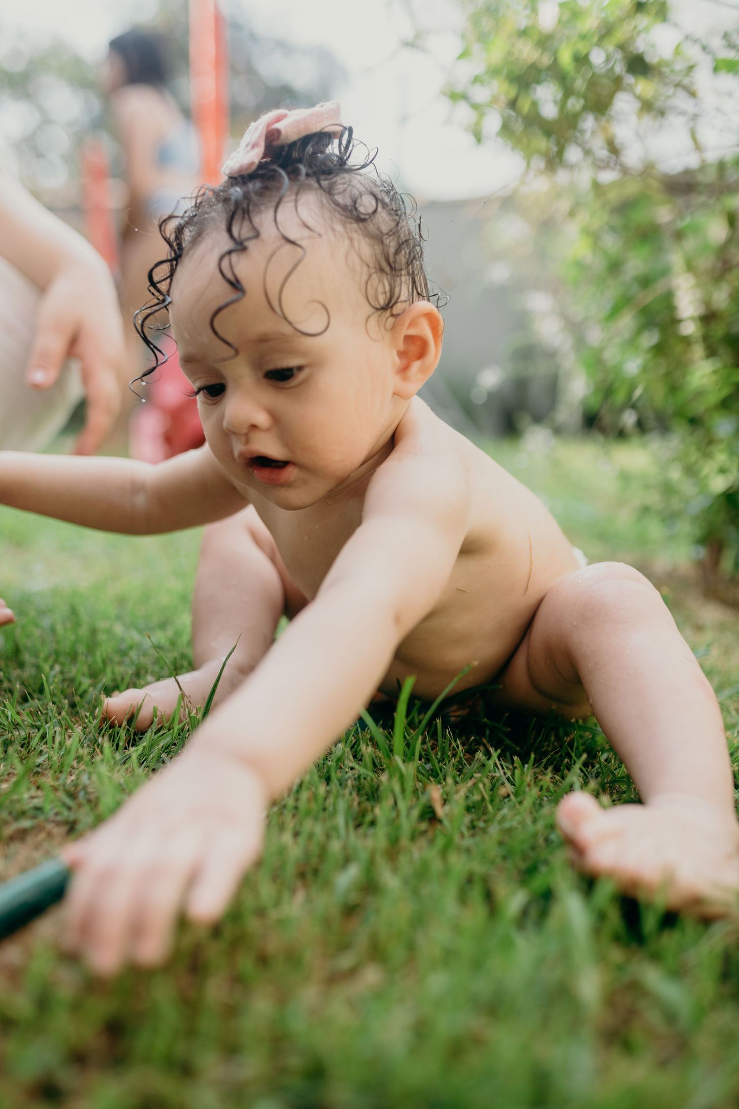 Close-up shot of a playful moment on fresh green grass during summer.