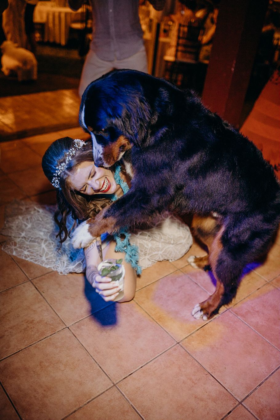 Large black and brown dog playfully interacting with someone in a sparkly dress on a dance floor.