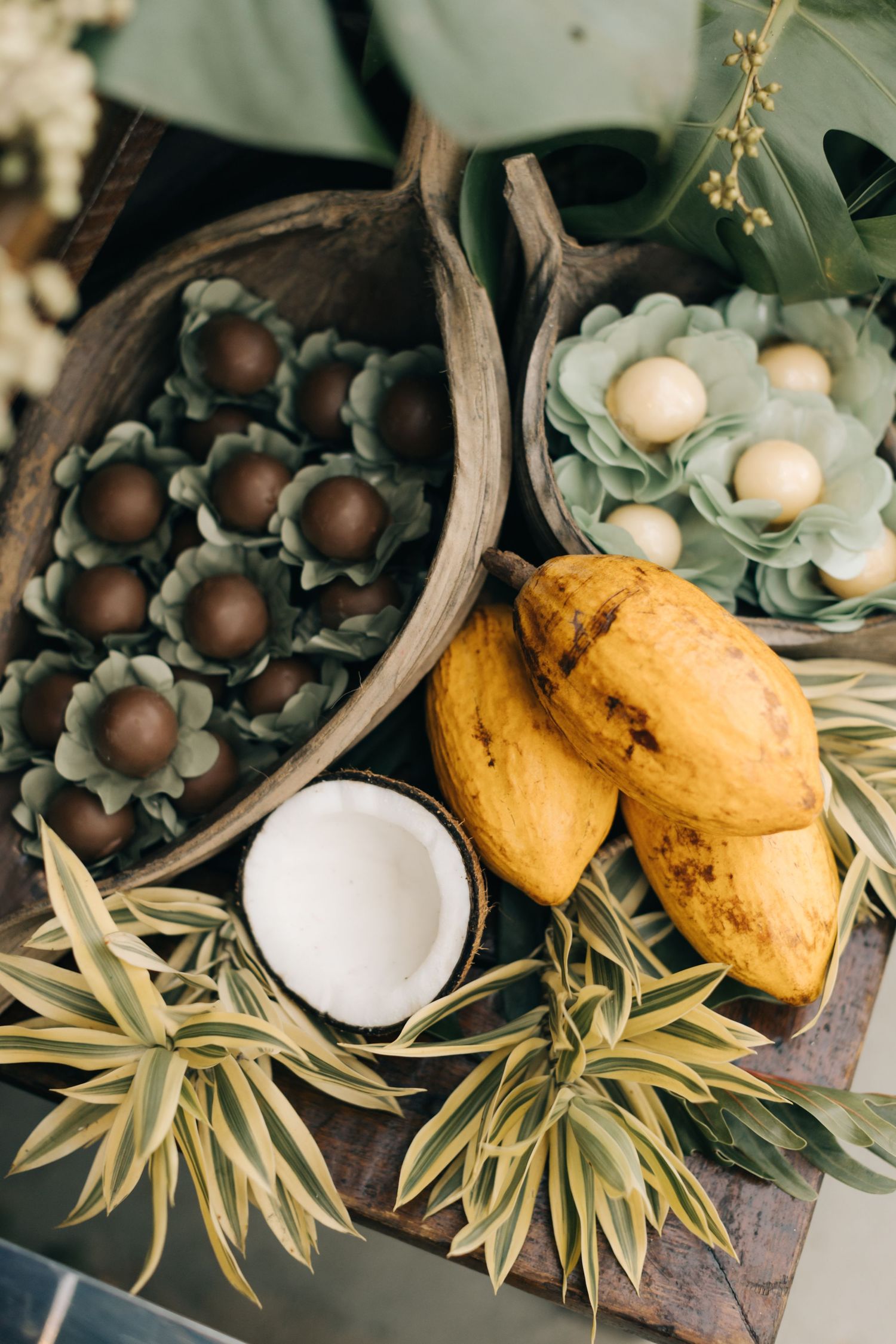 Rustic arrangement featuring coconuts, citrus fruits, and air plants on wooden surface.