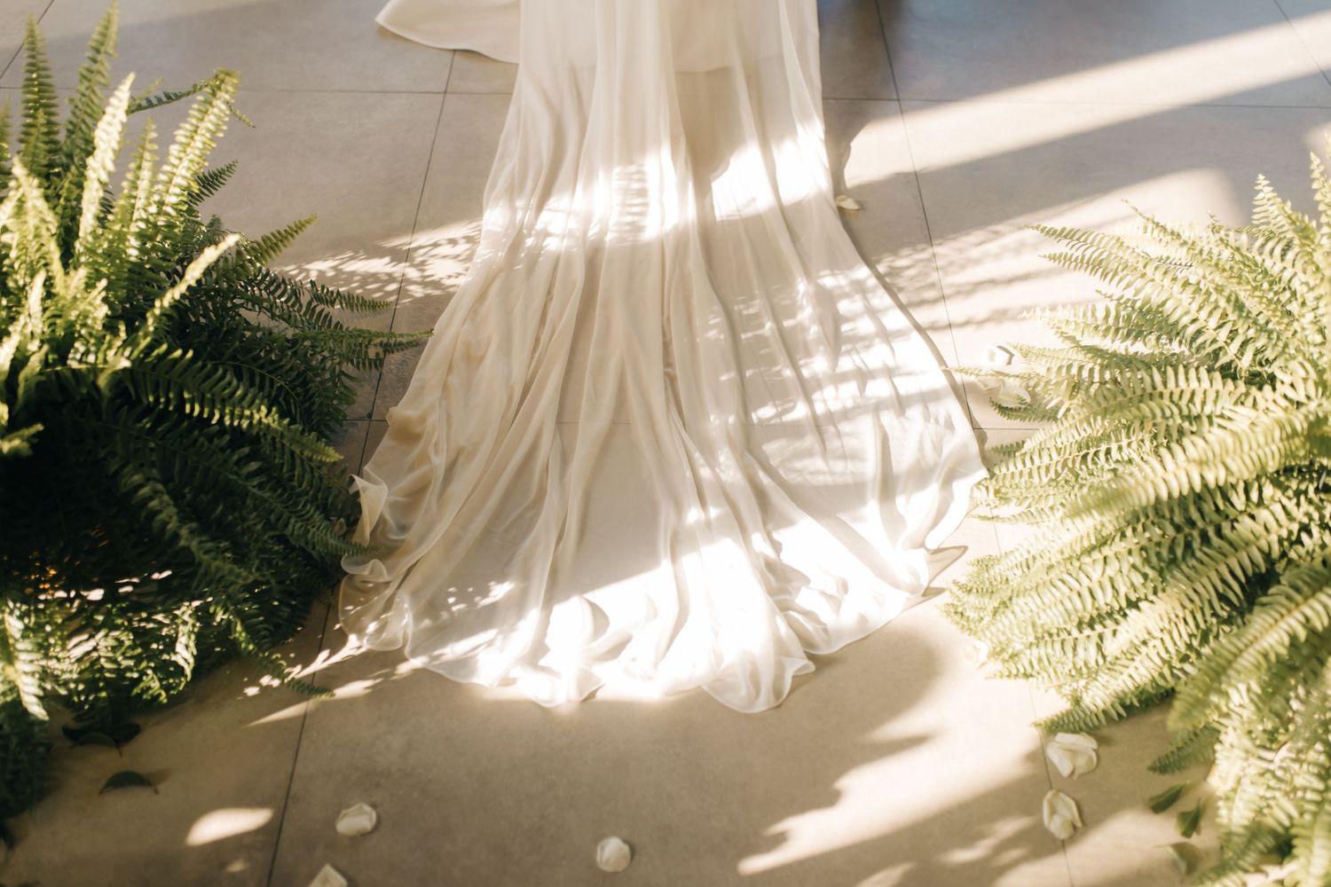 Wedding aisle decorated with lush ferns and white floral arrangements in soft natural light.