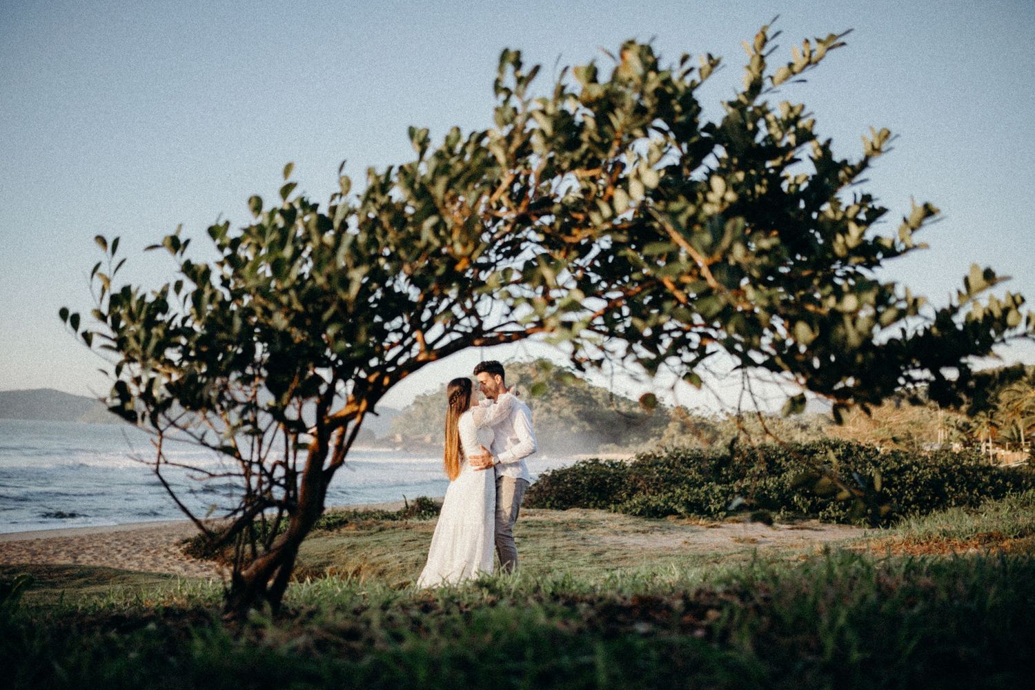 Romantic couple stands under a windswept tree on a seaside cliff during golden hour.