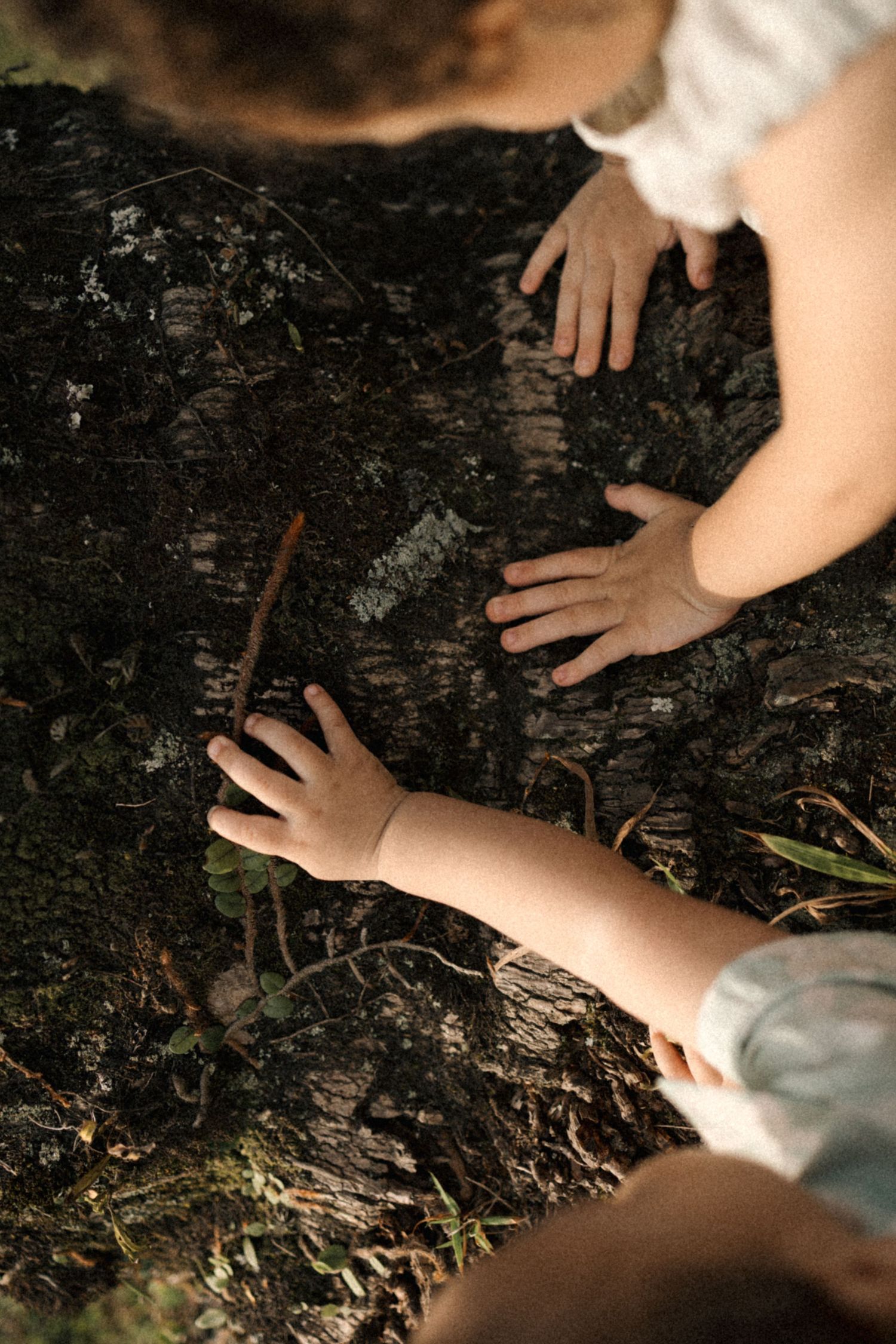 Small hands explore dark soil and fallen leaves in a nature discovery activity.