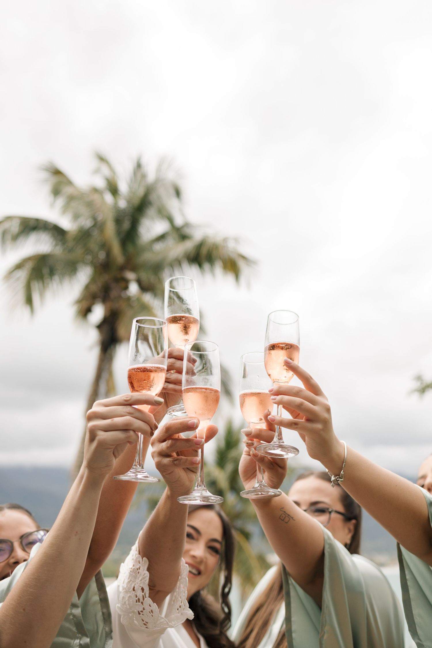Raised champagne glasses clink together in a celebratory toast under a palm tree against a cloudy sky.