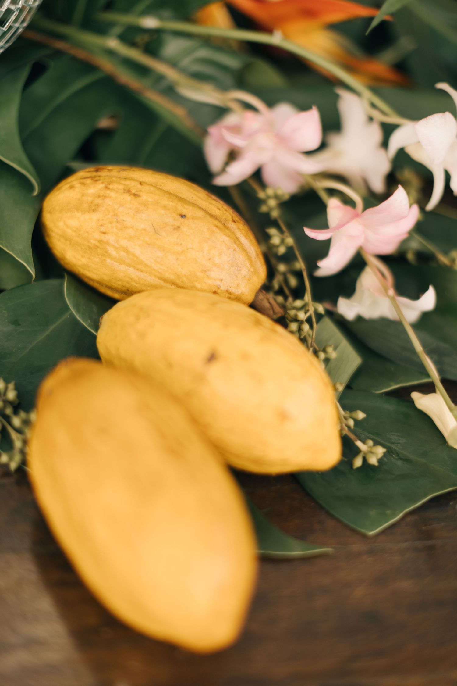 Yellow mangos displayed with pink orchids and tropical leaves on wooden surface.