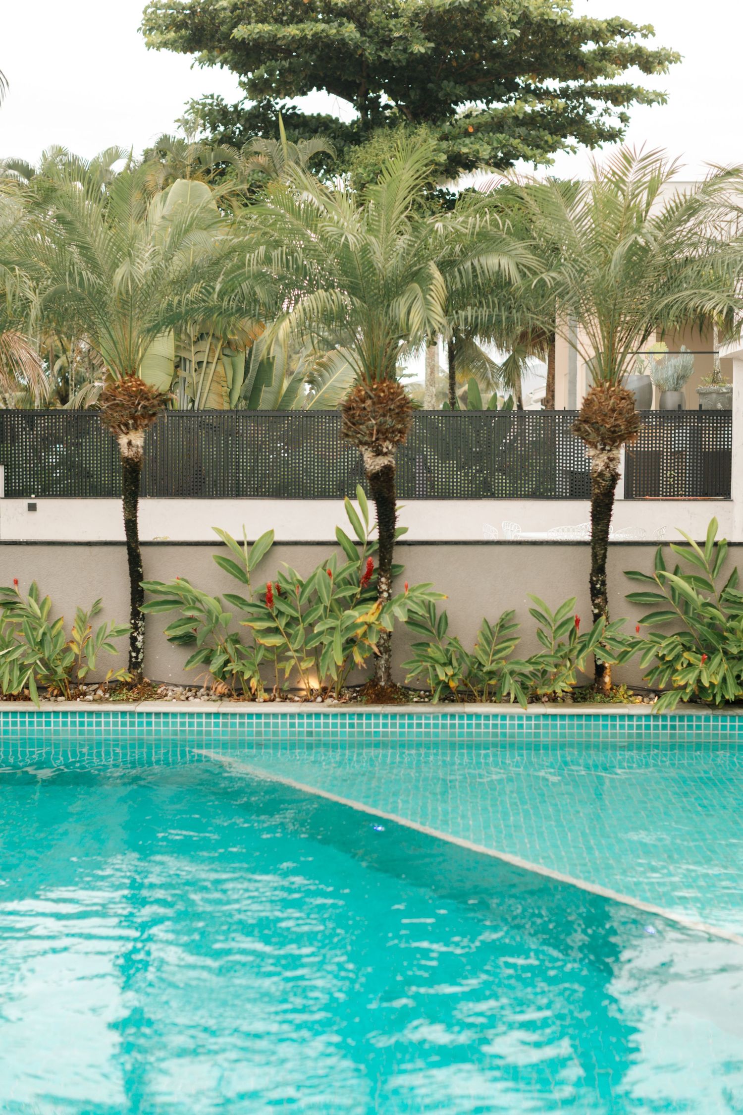 Tropical poolside setting with palm trees and turquoise water.