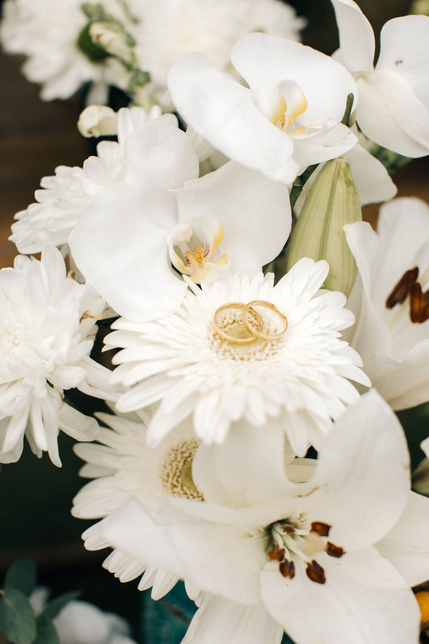 White wedding flowers including orchids and gerbera daisies with wedding rings nestled among the blooms.
