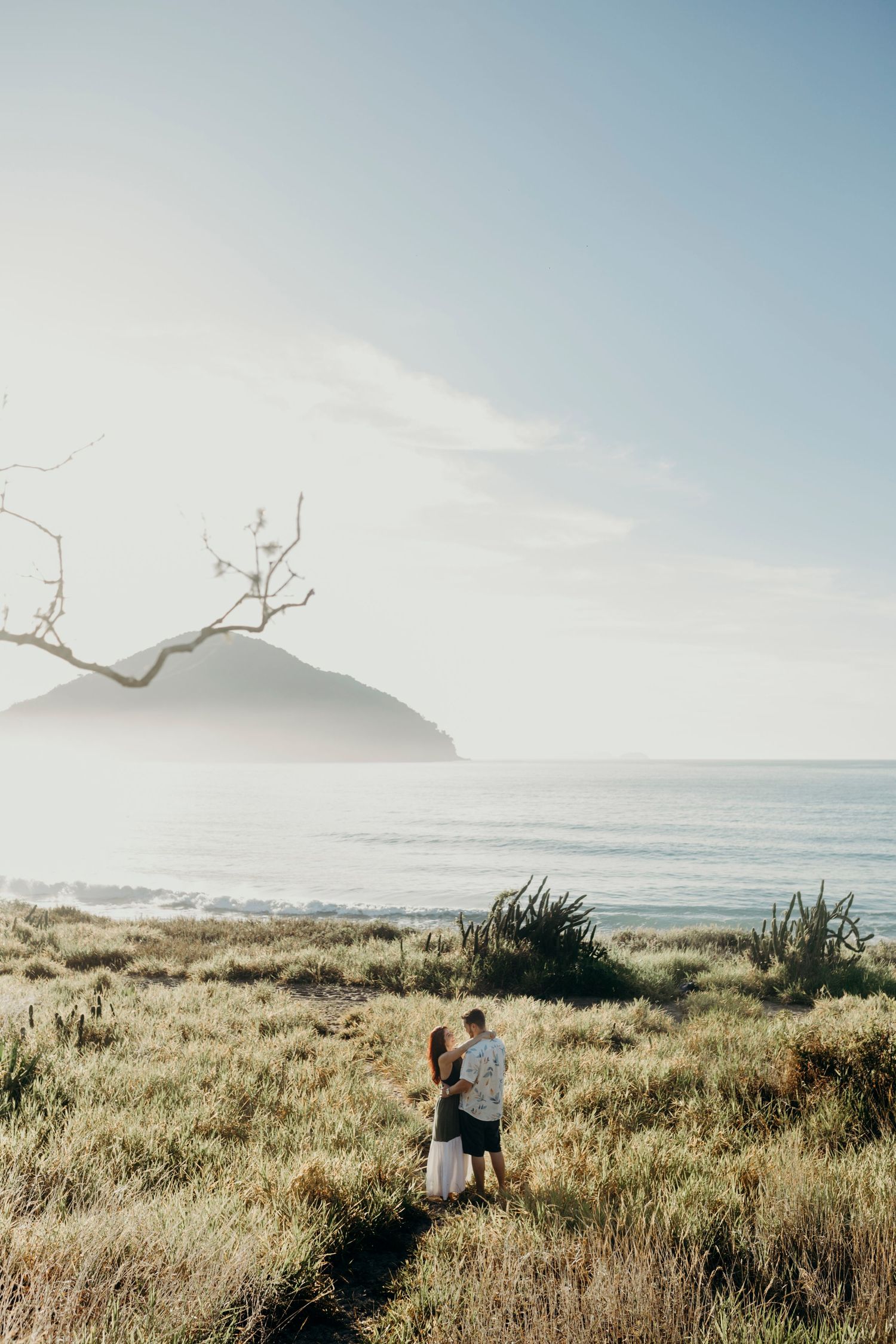 Panoramic view of coastal grasslands with mountains and ocean at sunset.