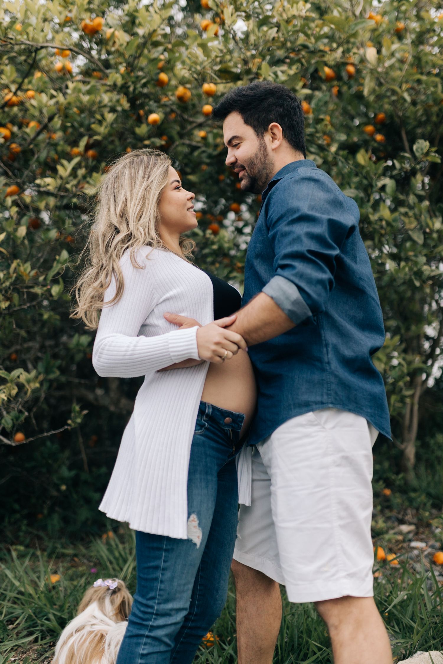A couple shares a joyful moment in an orange grove with a small dog nearby.