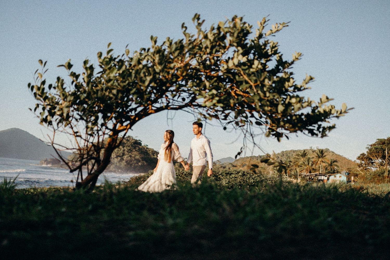 Couple stands on hilltop under bent tree with coastal scenery in the distance.