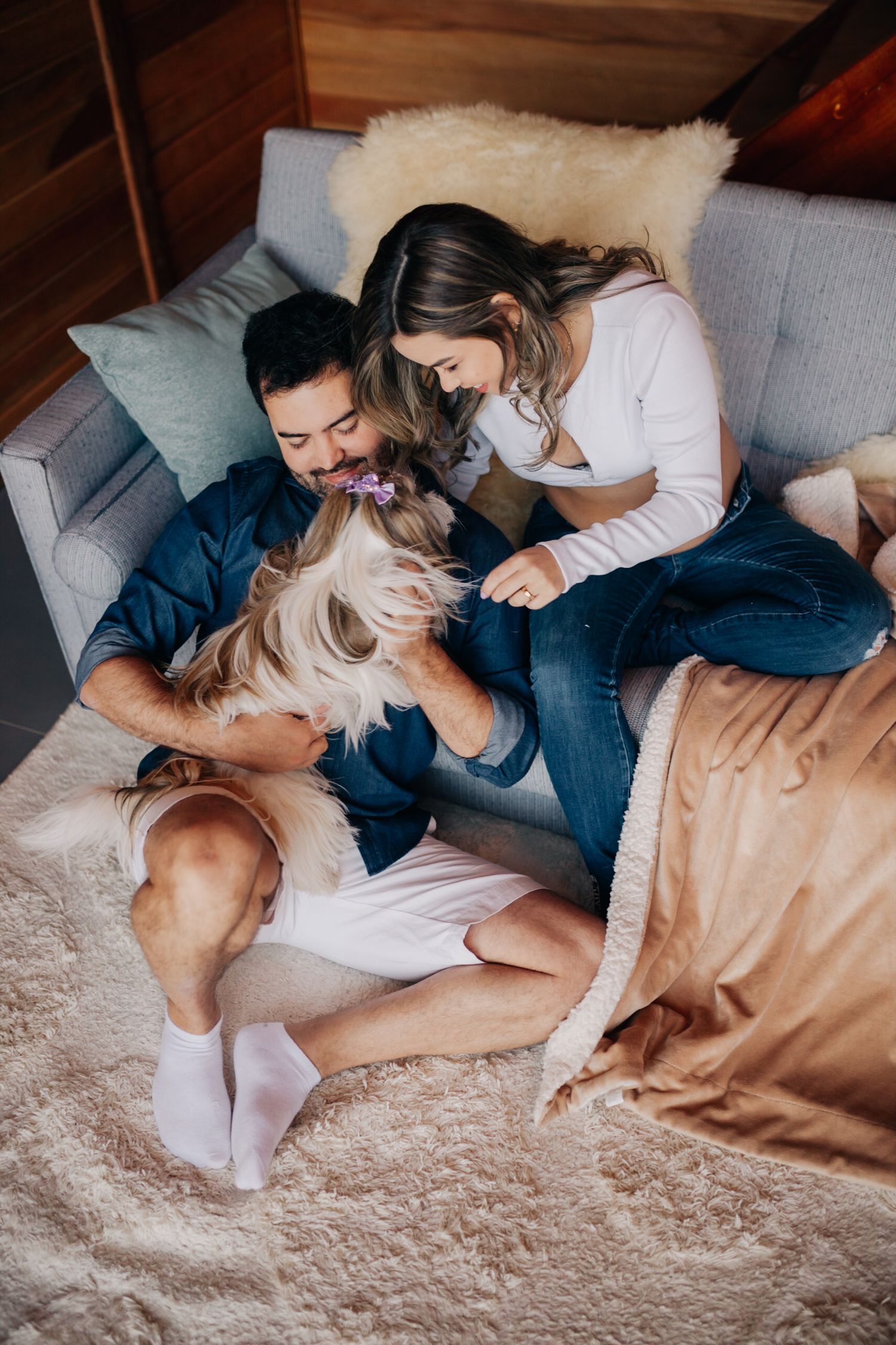 A playful moment with a Shih Tzu dog on a grey couch in a cozy cabin setting.