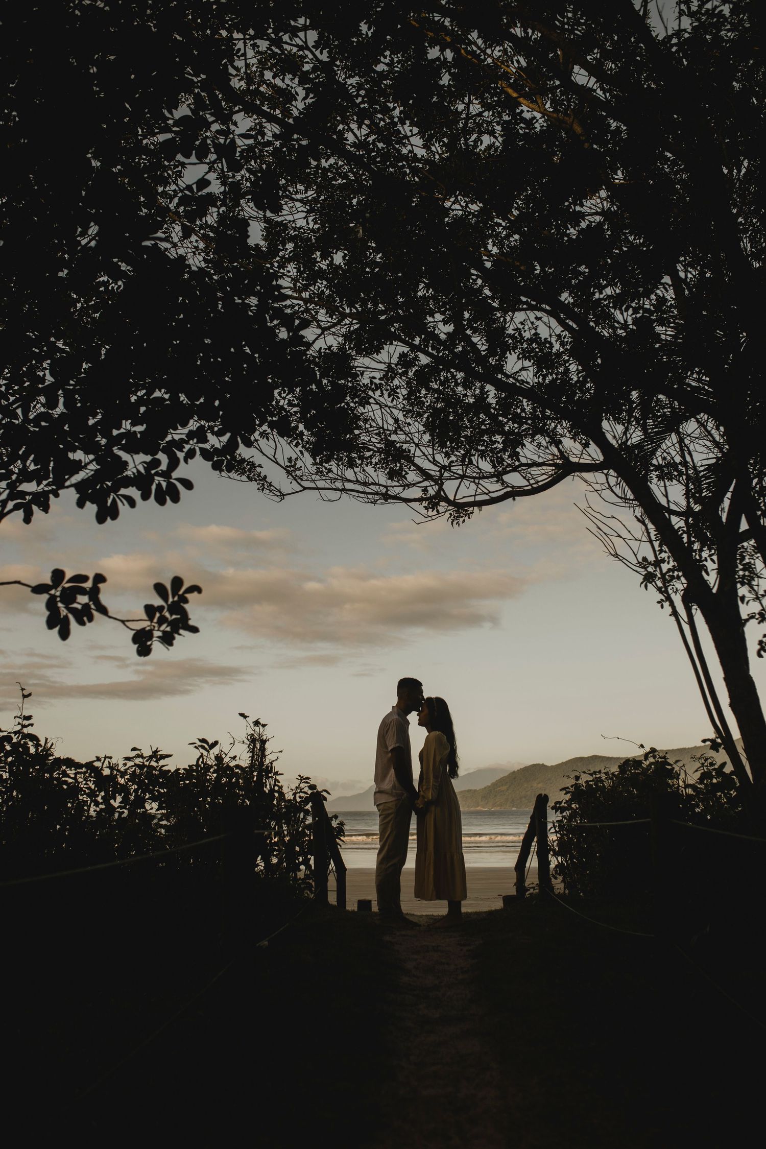 A silhouetted couple stands beneath a tree arch overlooking the ocean at sunset.