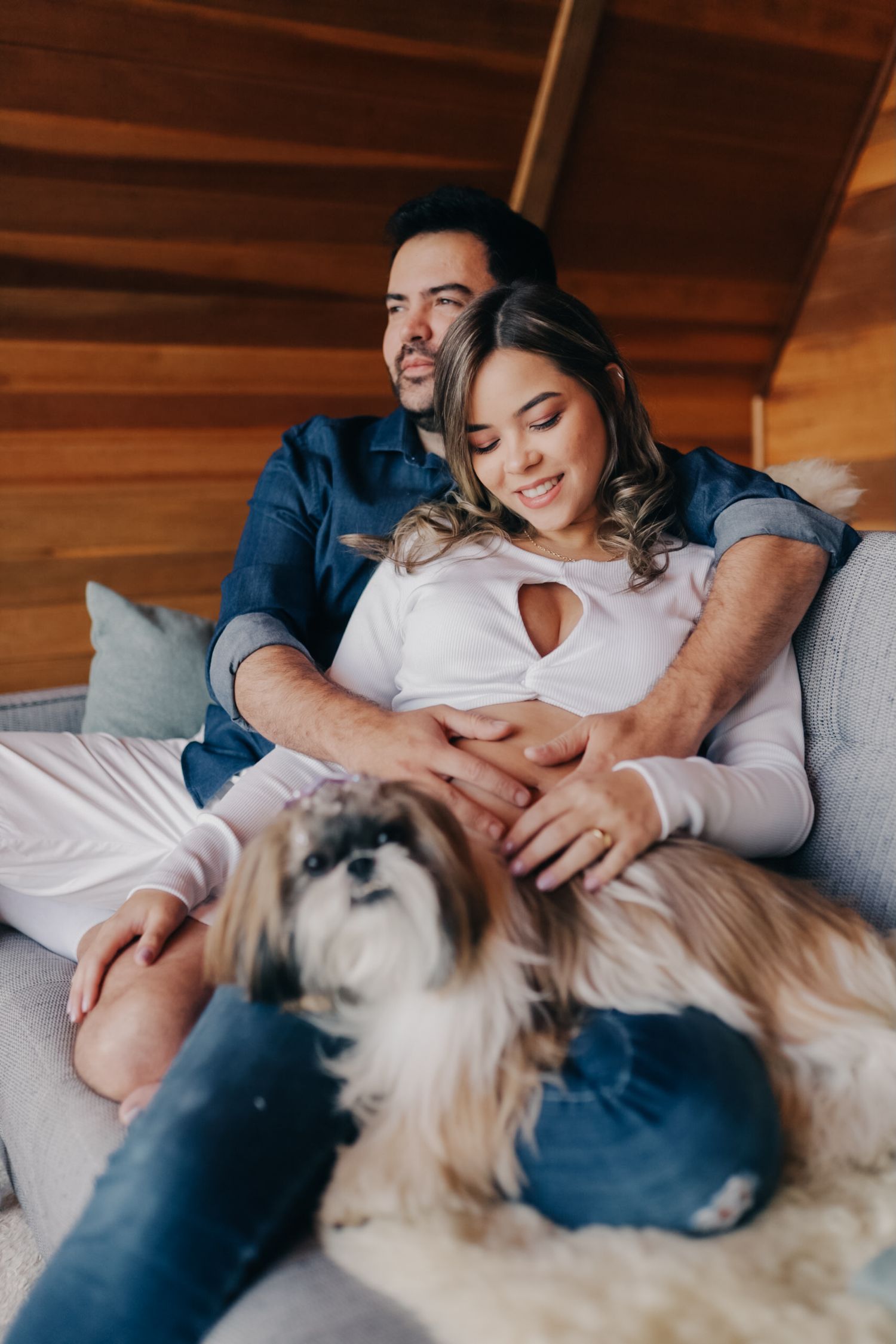 A cozy moment on a grey couch with a Shih Tzu dog in a wooden cabin.