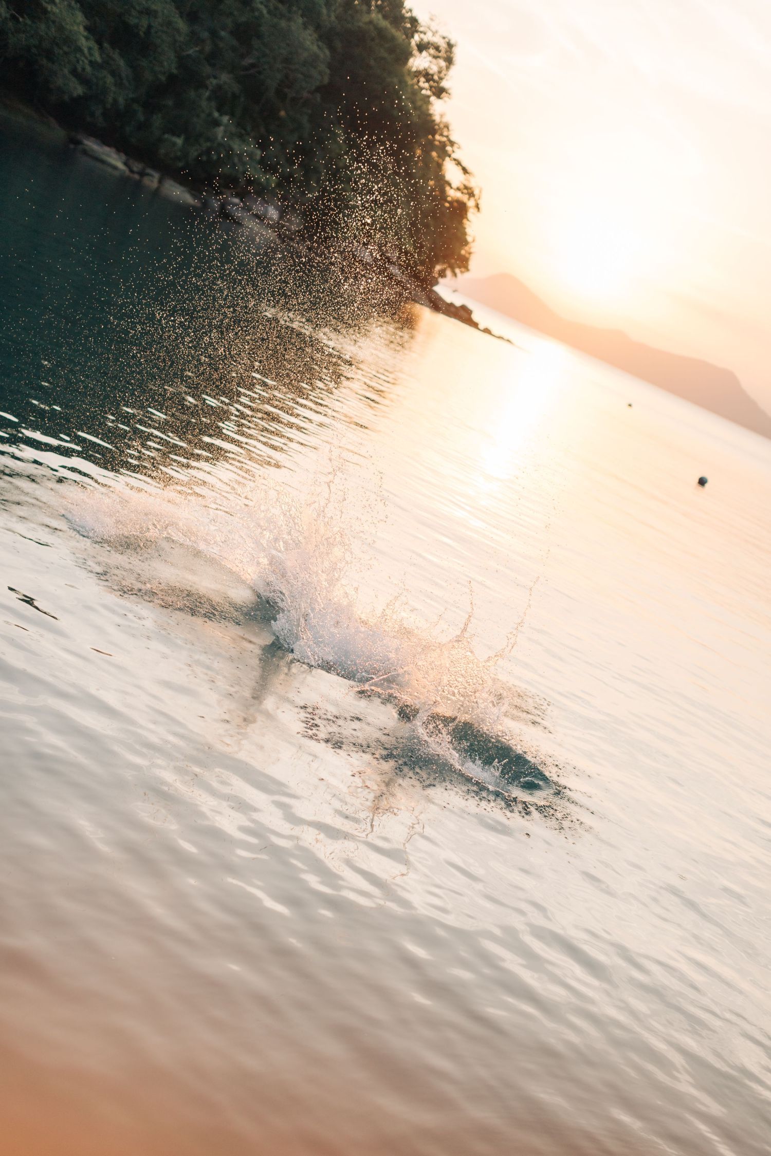 A splash creates ripples in turquoise water during sunset near a forested shoreline.