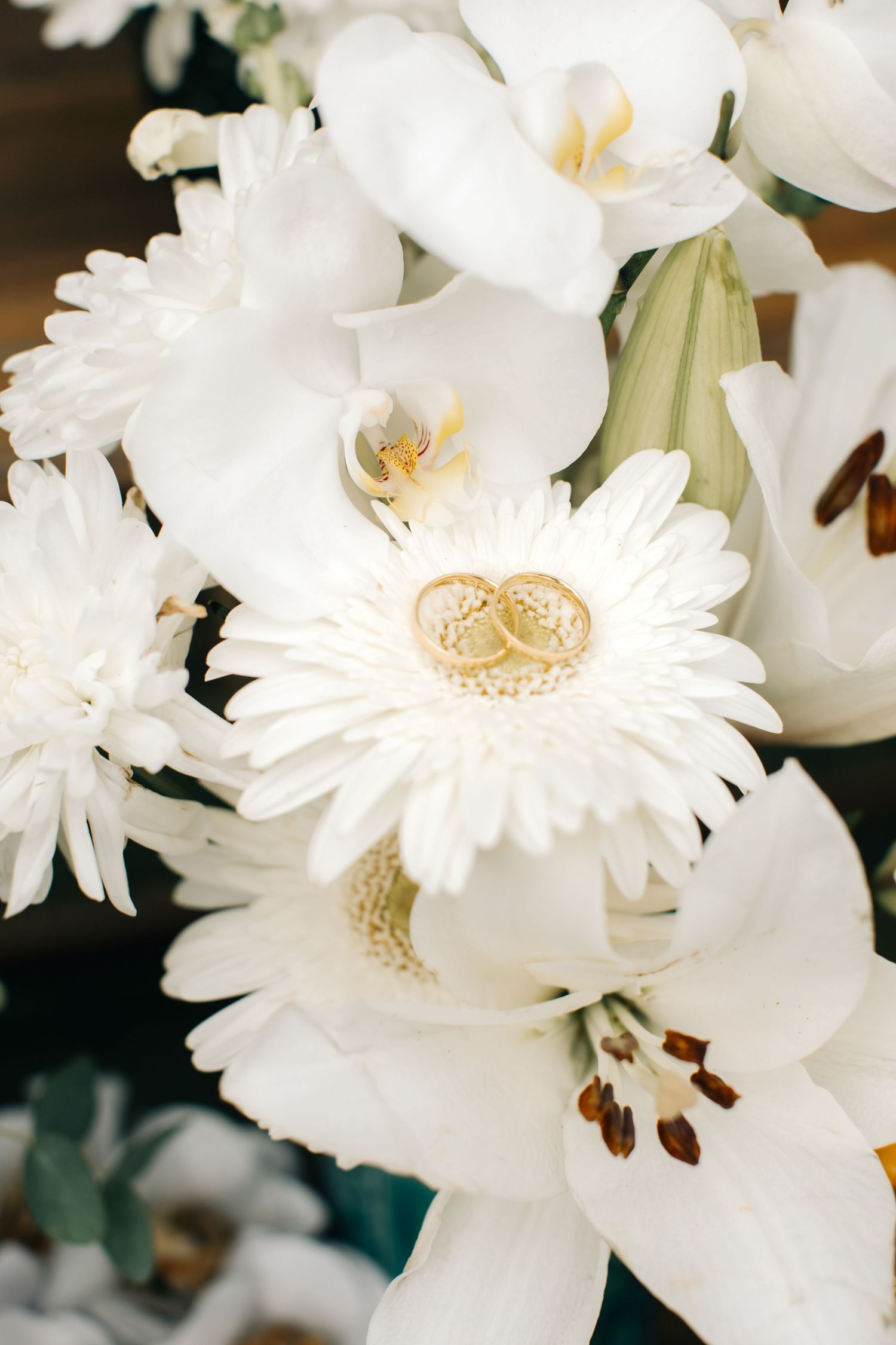 Close-up of pristine white gerbera daisies and orchids in a floral arrangement.