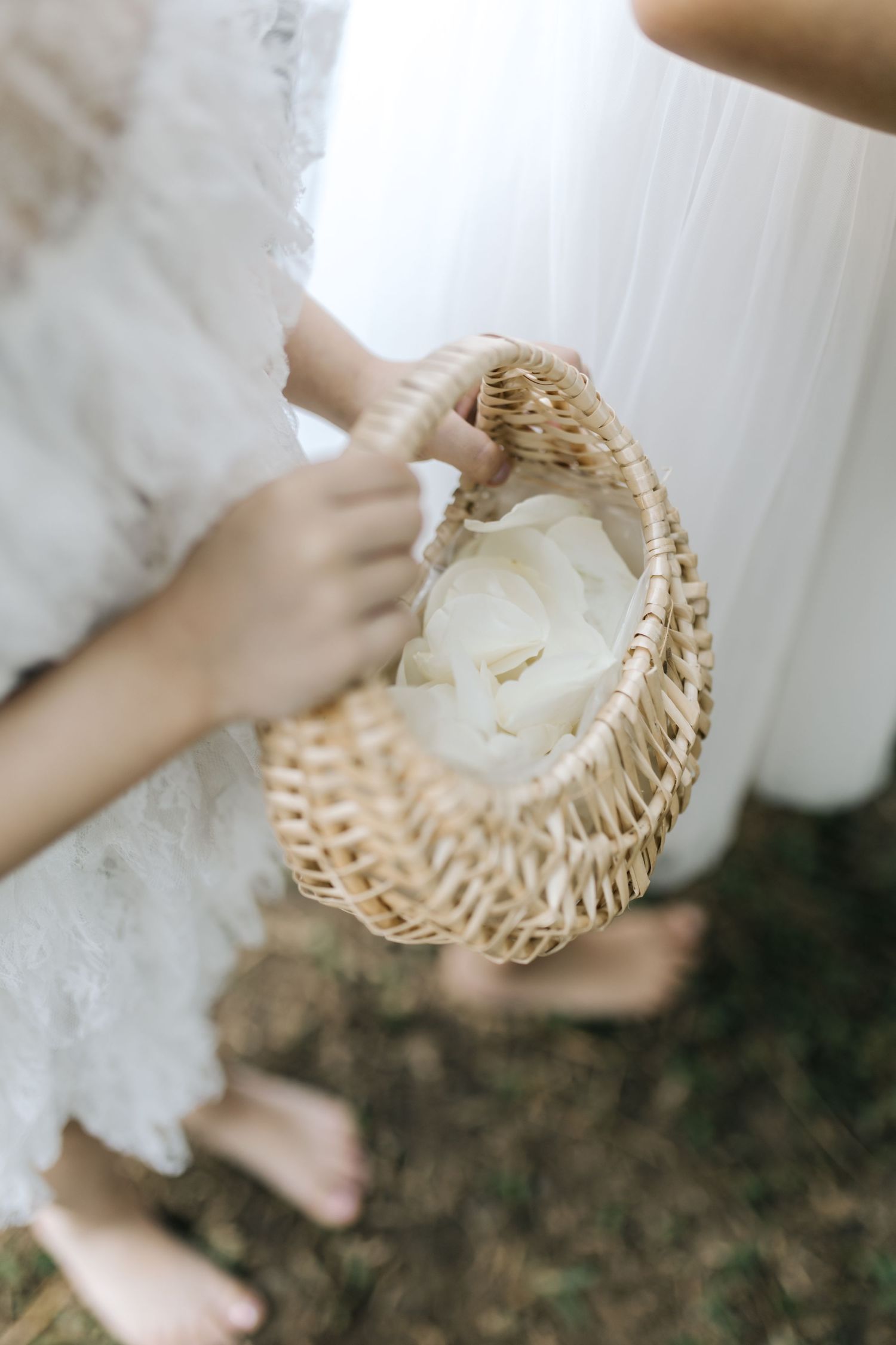 Close-up shot of hands holding a wicker basket filled with white petals.