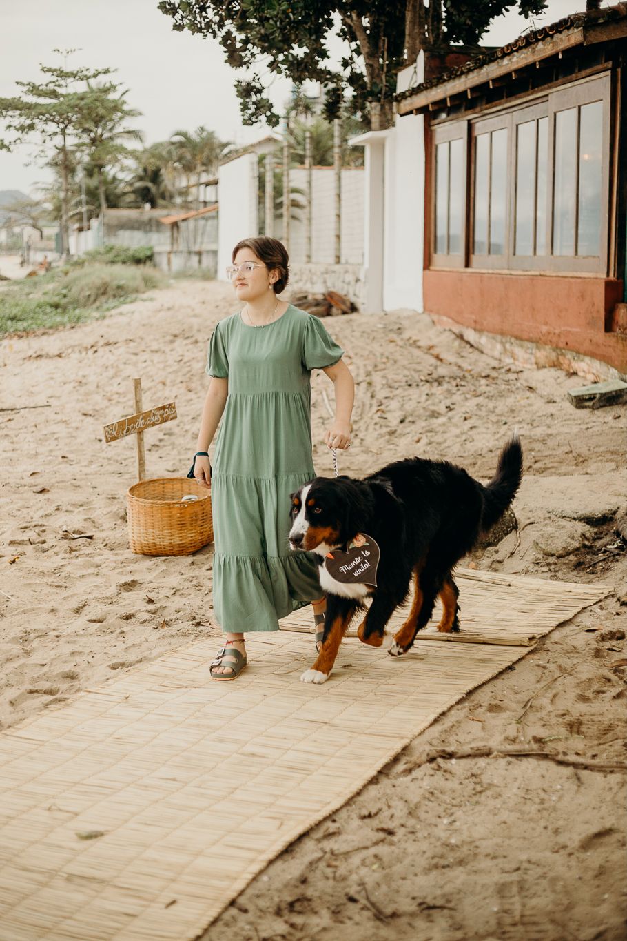 Person in green dress walking with a Bernese Mountain Dog on a wooden boardwalk.
