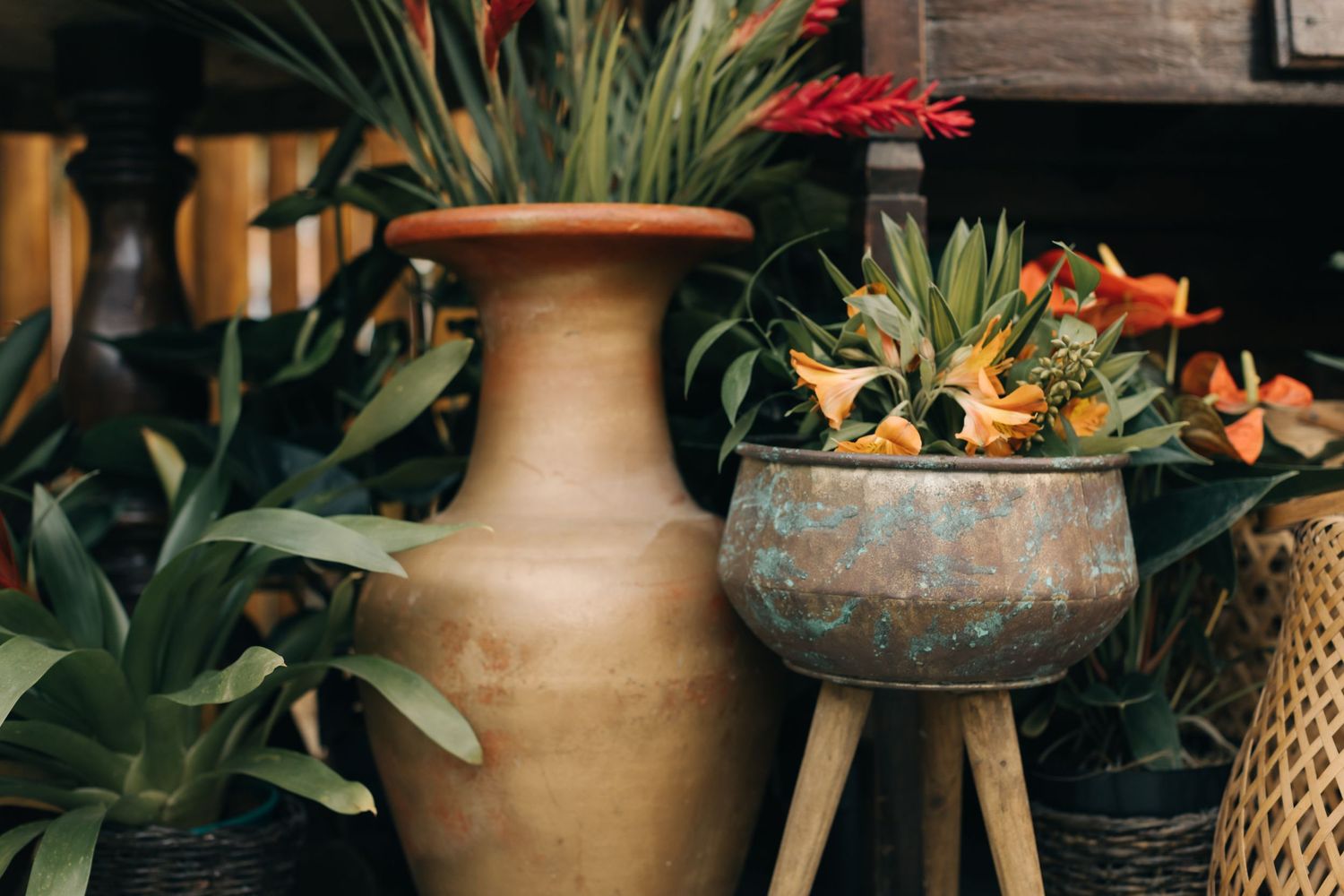 Tropical plants displayed in terra cotta vase and weathered copper pot against rustic backdrop.