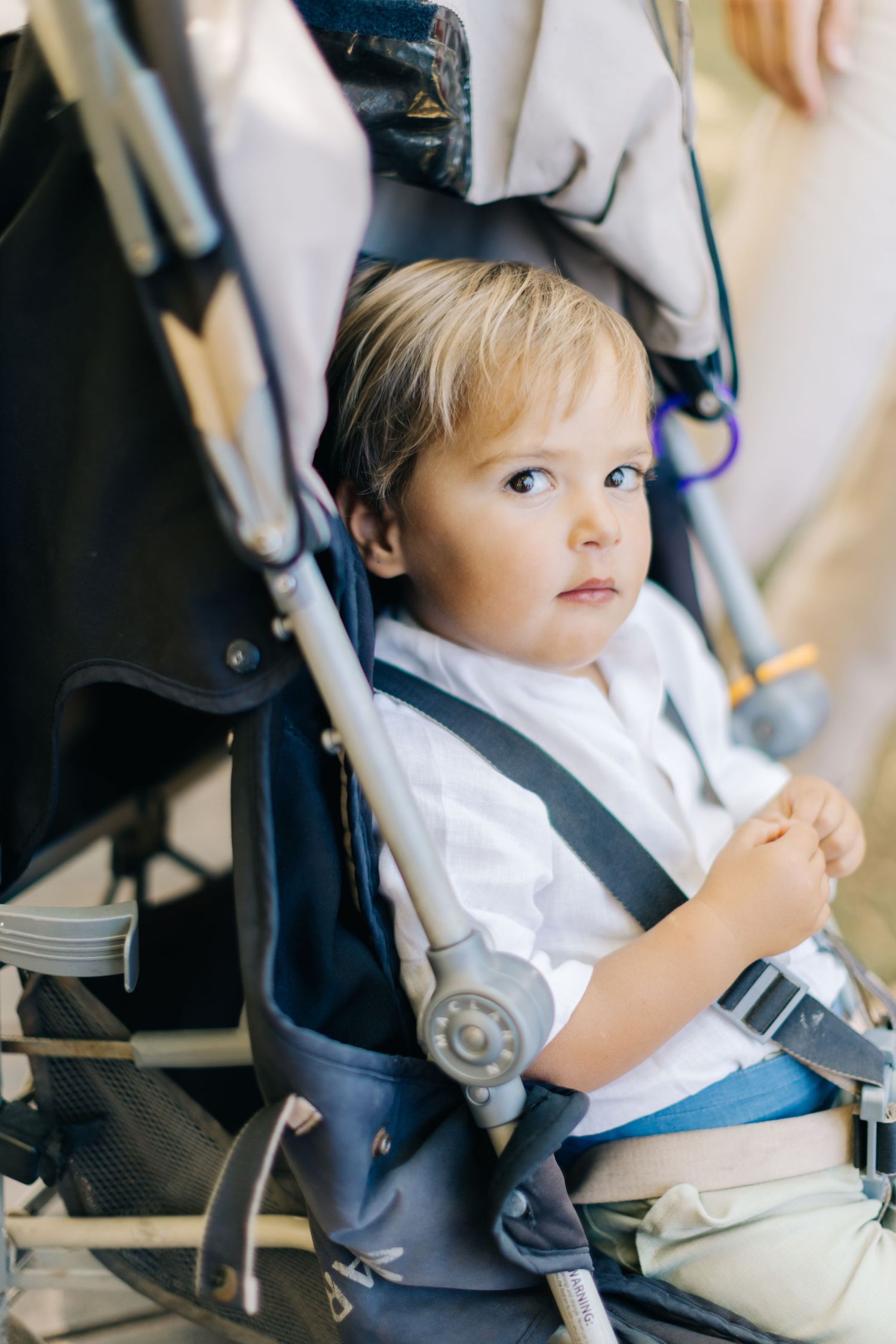 A young child sitting securely fastened in a gray stroller.