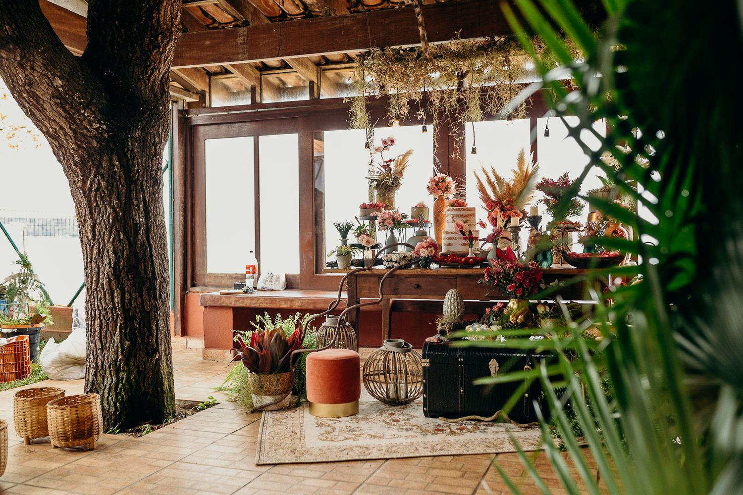 Tropical outdoor venue setting with palm trees and natural lighting.