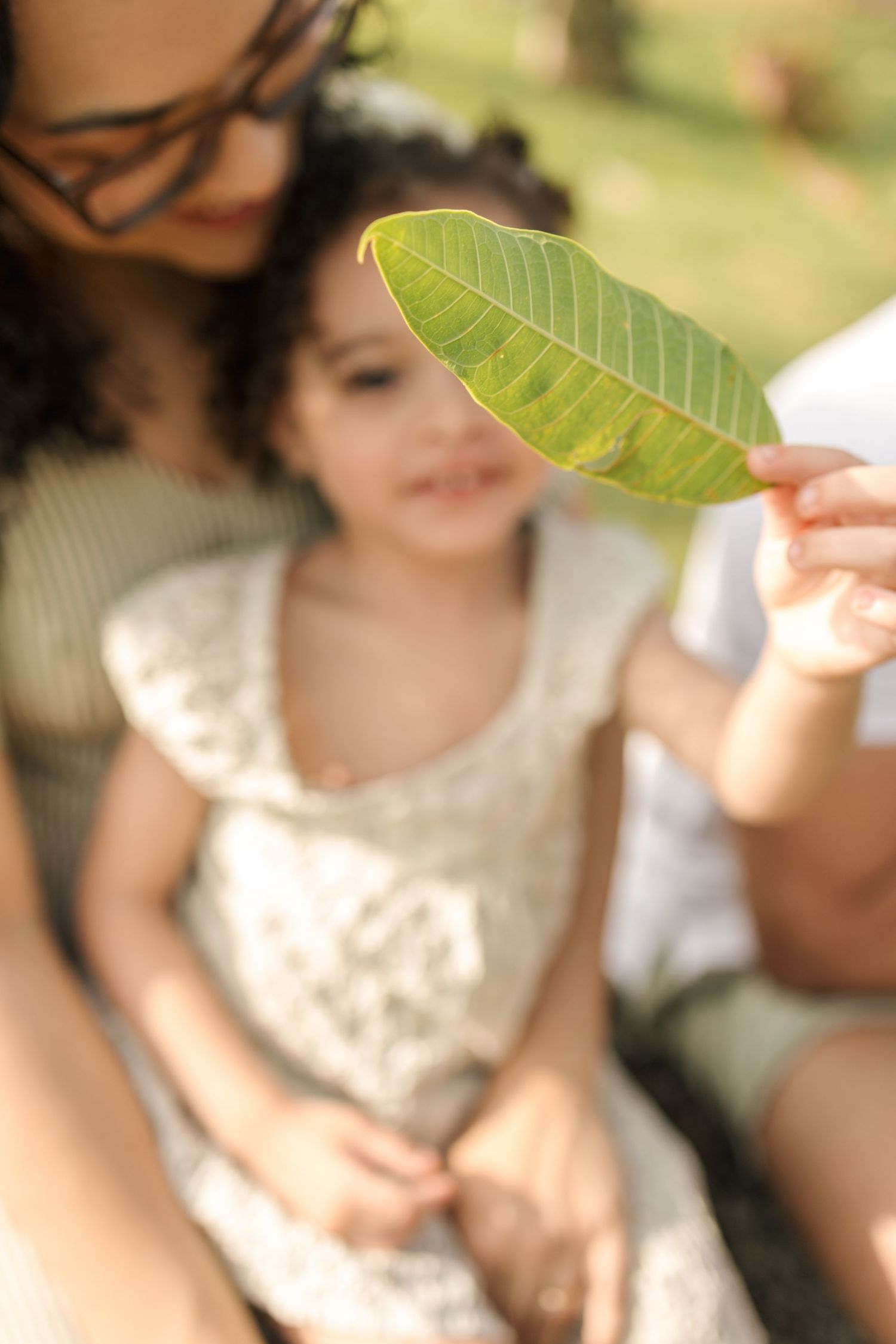 A sequence of photos shows hands holding and examining a large green leaf in natural outdoor lighting.