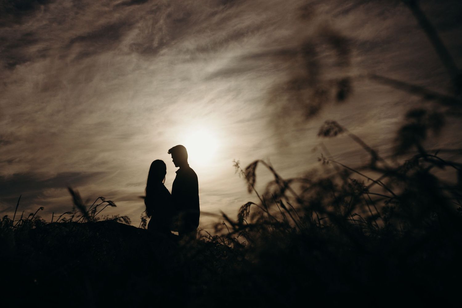 Dramatic silhouettes against a moody sunset sky with tall grasses in the foreground.