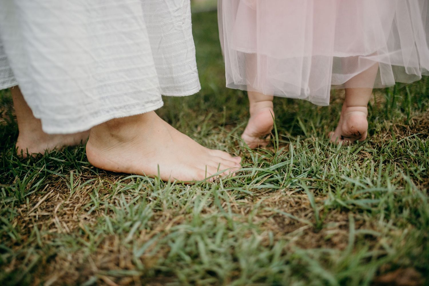 Bare feet of parent and child standing together on green grass.