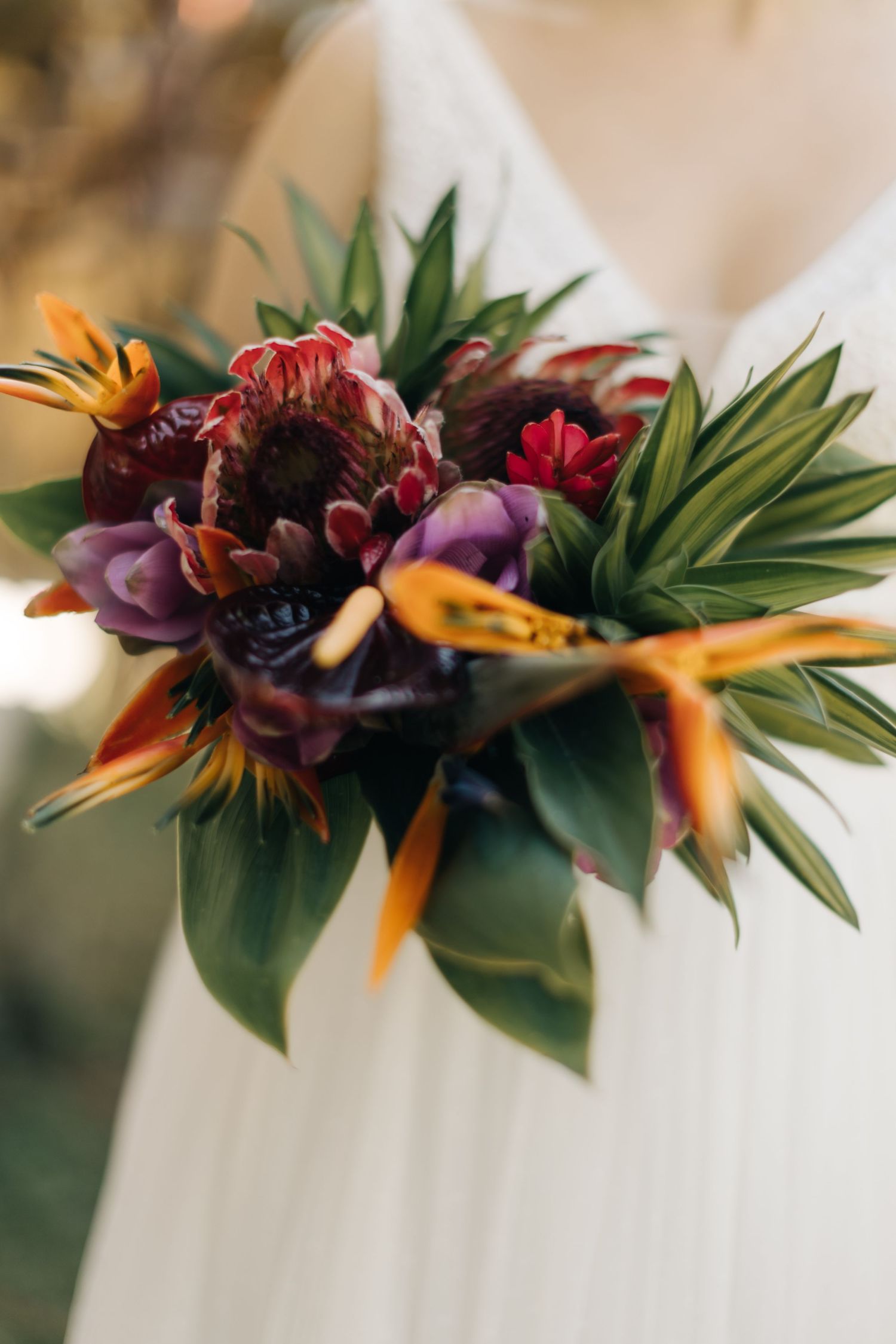 Vibrant tropical wedding bouquet featuring birds of paradise and deep purple blooms.