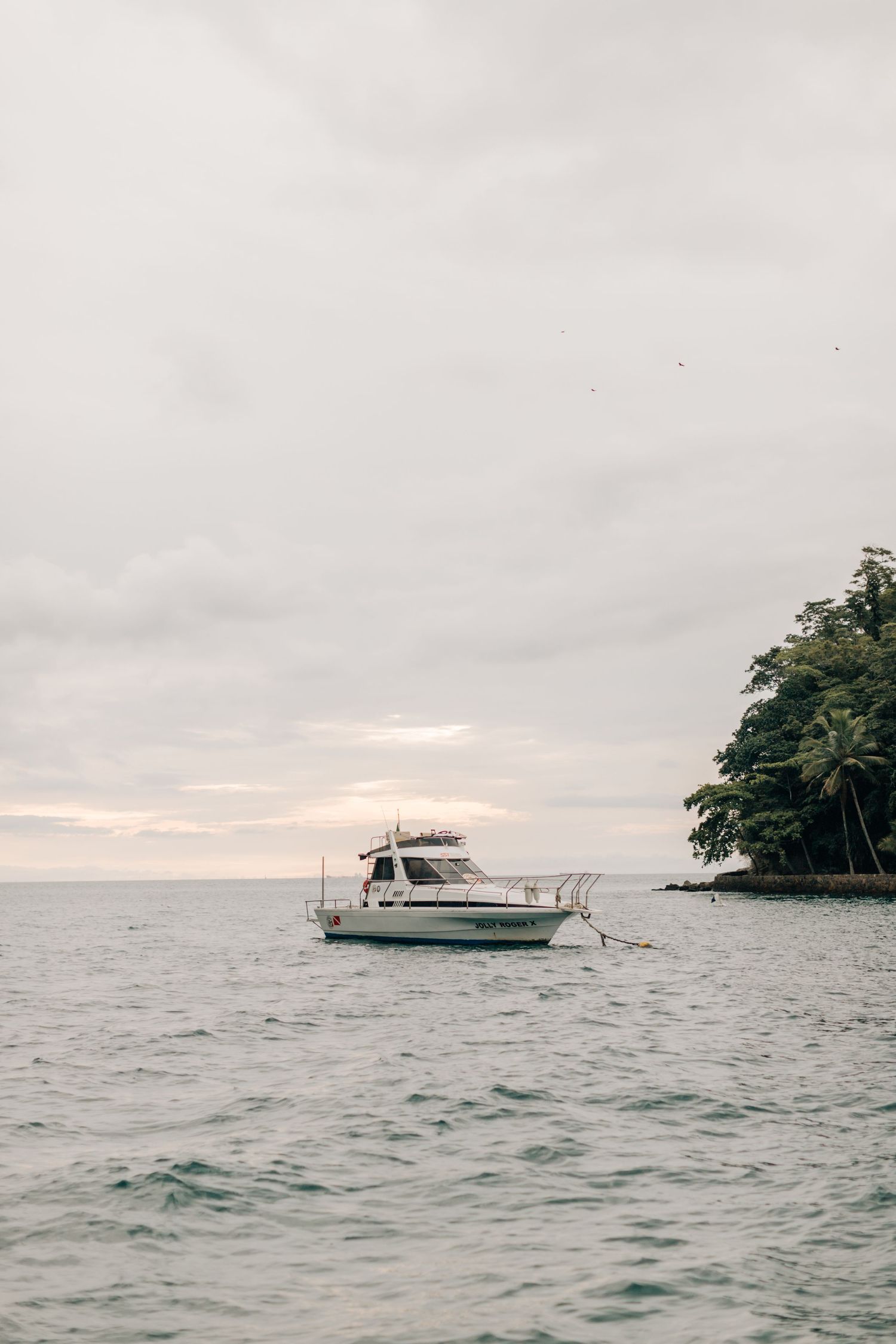 A white boat anchored in calm waters near a tropical shoreline during an overcast day.