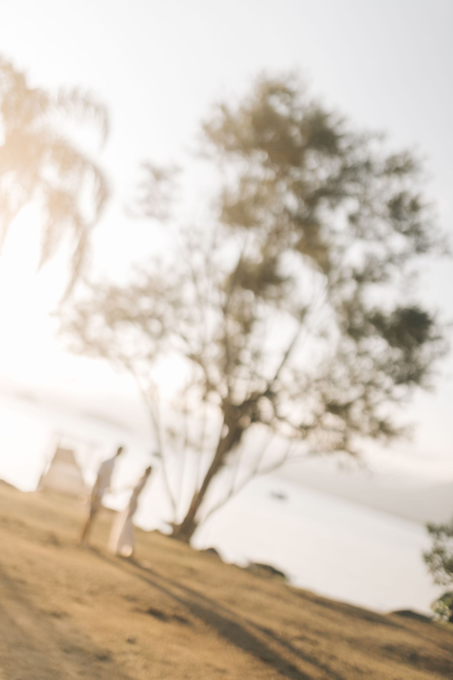 Blurred artistic photo of figures walking near a tree on a coastal hillside.