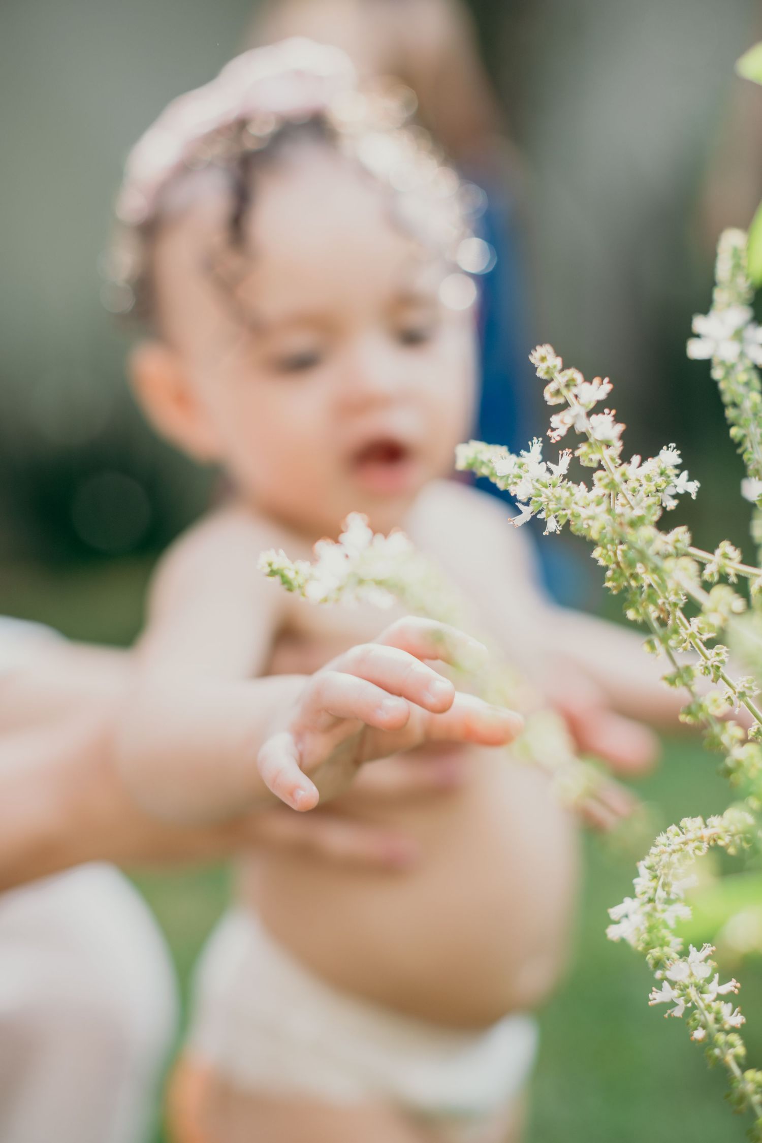 A small child in a diaper reaches out to touch delicate white flowers in a sunny garden.