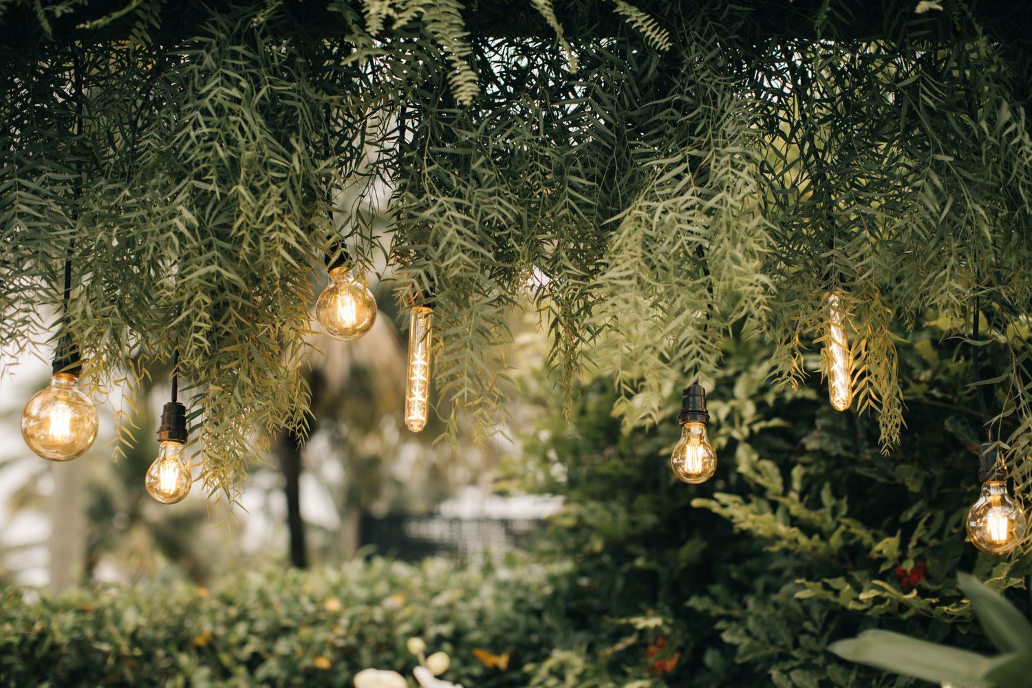 Glowing vintage Edison bulbs hanging from green foliage create a romantic atmosphere.