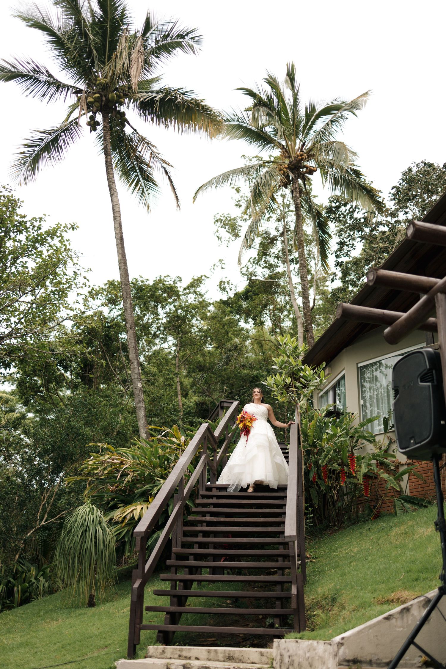 A sequence of four photos showing a scenic stairway surrounded by lush palm trees and greenery at a tropical venue.