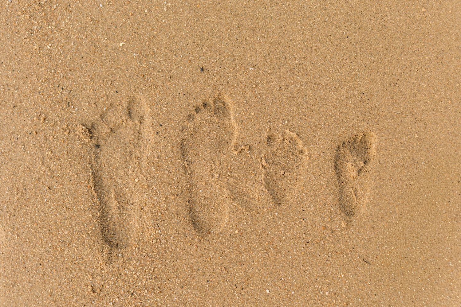 Multiple footprints in the sand trailing along a sandy beach shore.