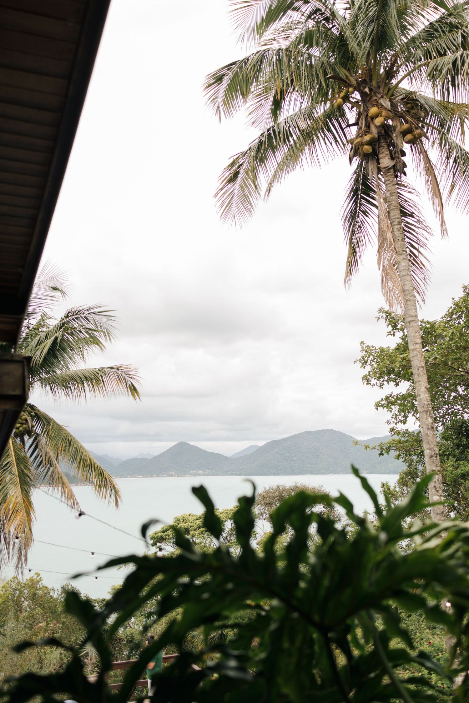 Scenic tropical landscape with palm trees overlooking mountains and ocean on a cloudy day.