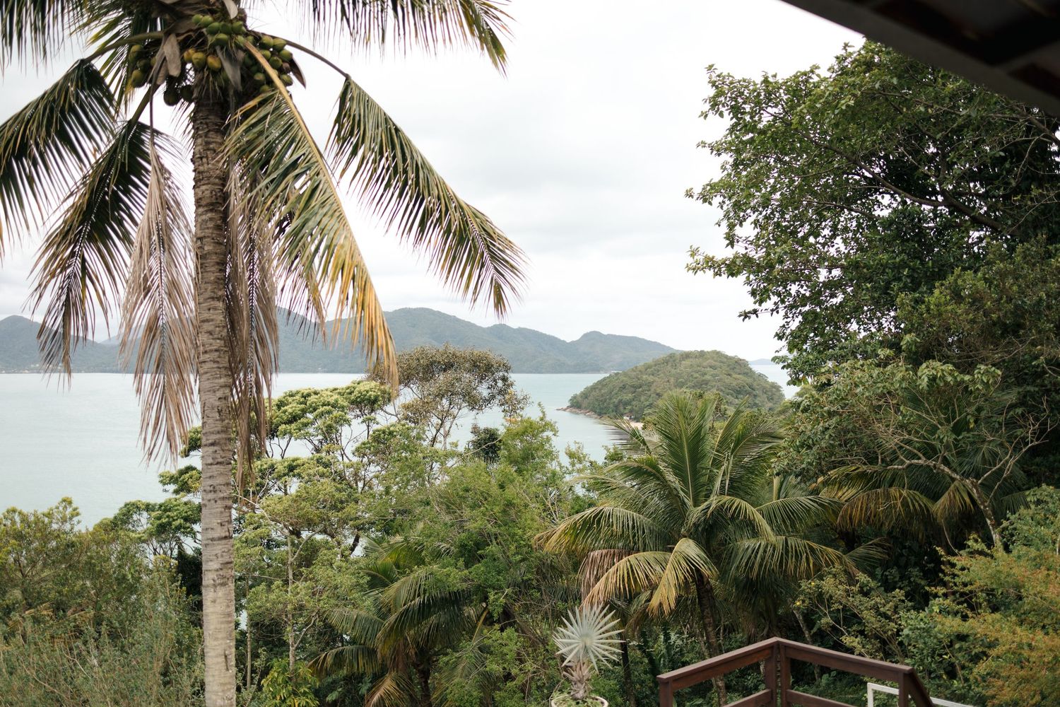 Palm trees and lush tropical vegetation frame a scenic mountain landscape view.