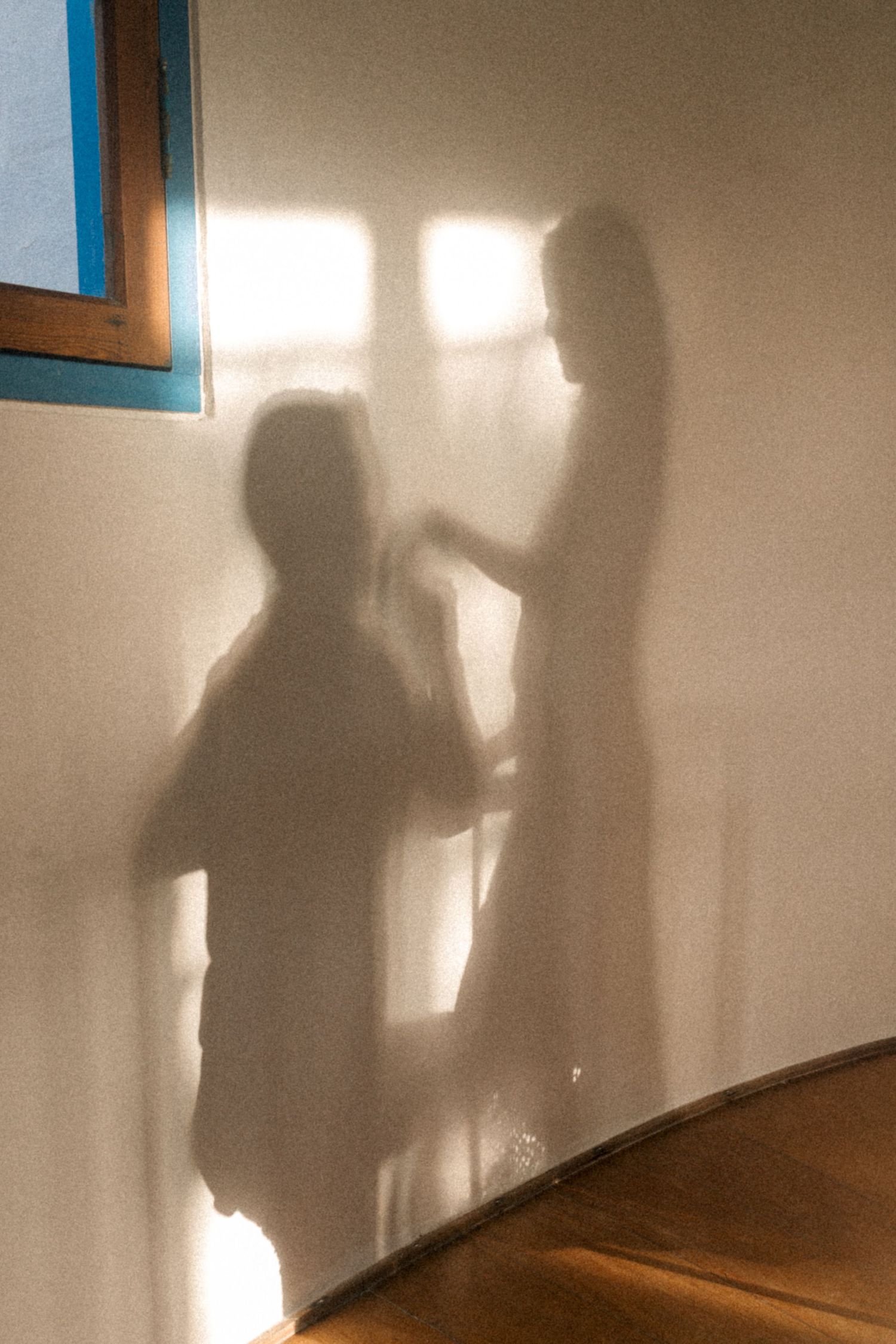 Artistic shadow silhouettes cast on a white wall through sunlit window.