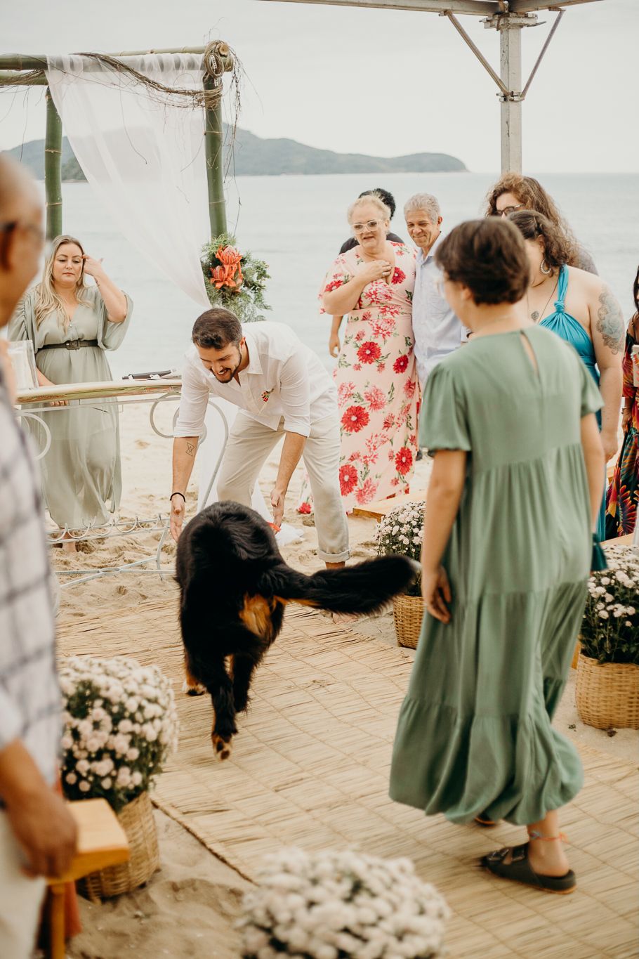 Guests enjoying a casual moment with a friendly dog at a beach wedding.