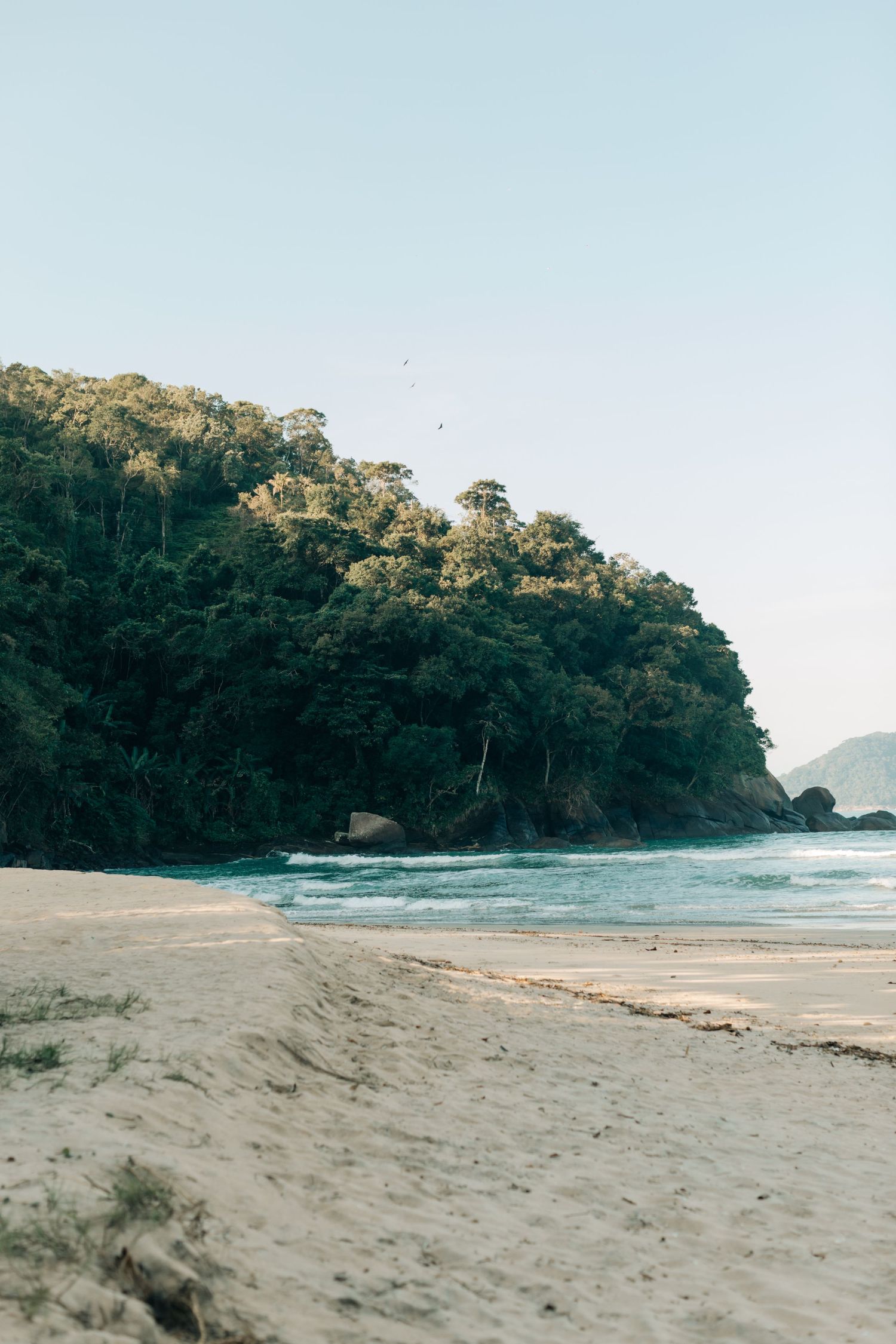 Scenic coastal beach landscape with forested cliffs and sandy shoreline.